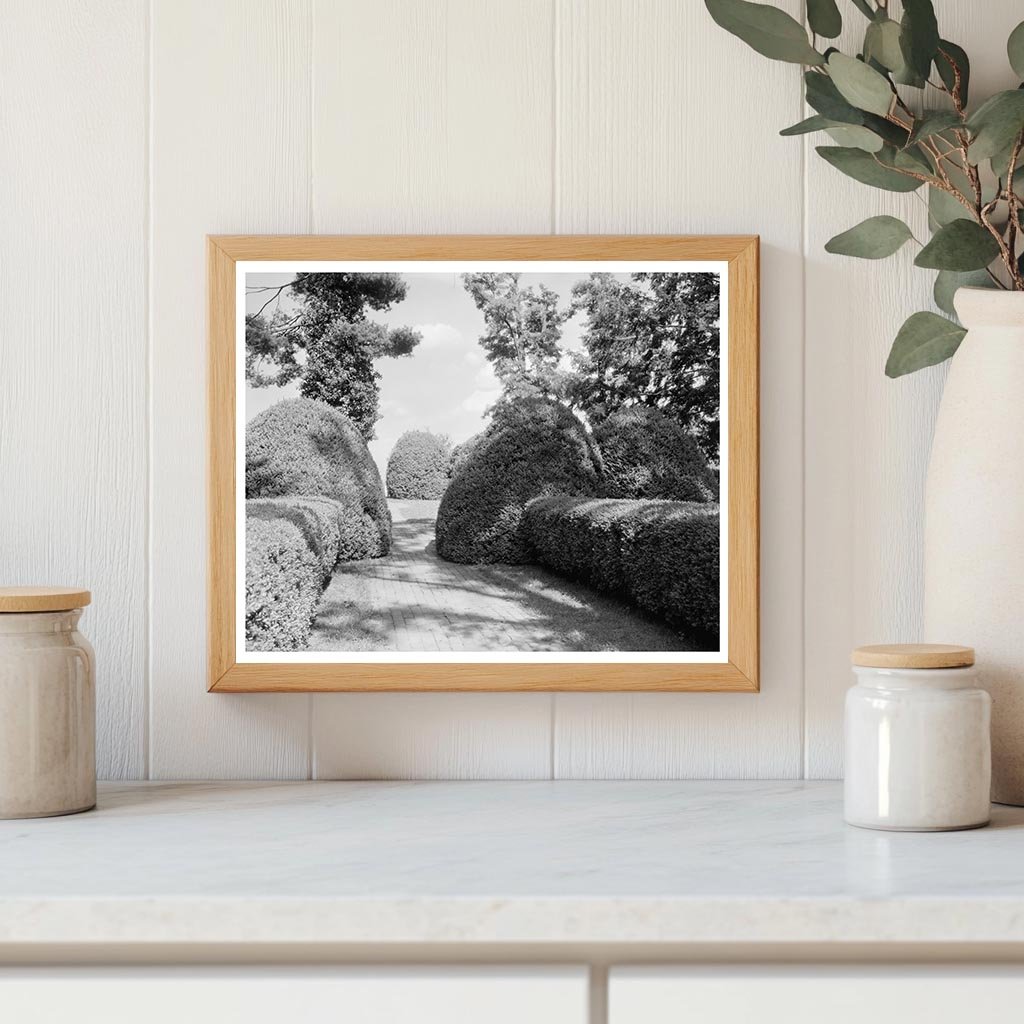 Charlottesville VA Vintage Garden Photo, Early 20th Century