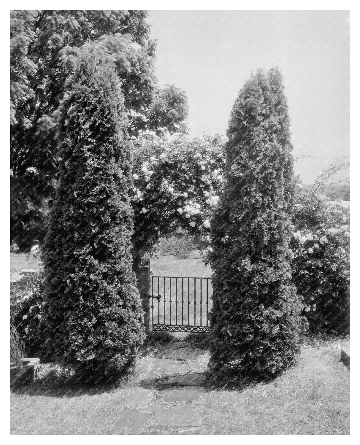 Calycanthus Hill, Green Mountain, Virginia, 1815 Estate