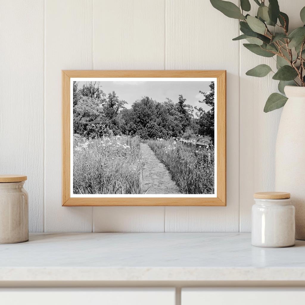 Calycanthus Hill, Albemarle County, VA - Historic Estate 181