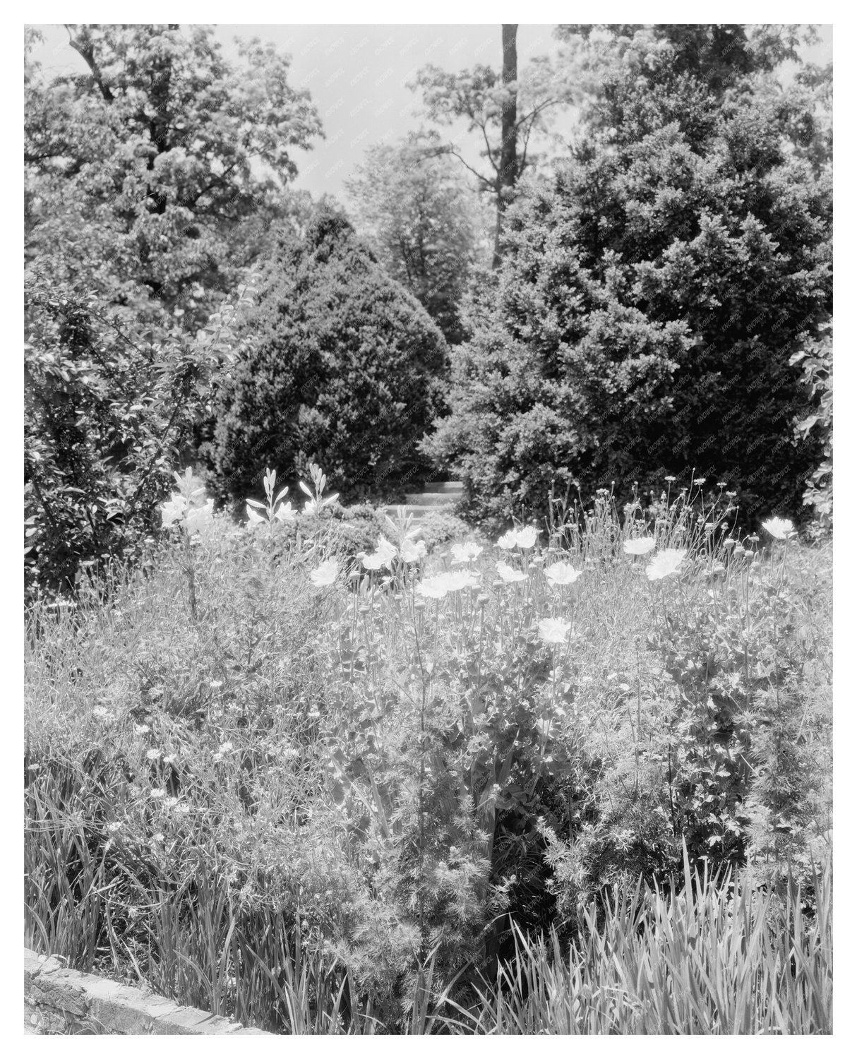 Calycanthus Hill Estate, Green Mountain, VA 1815