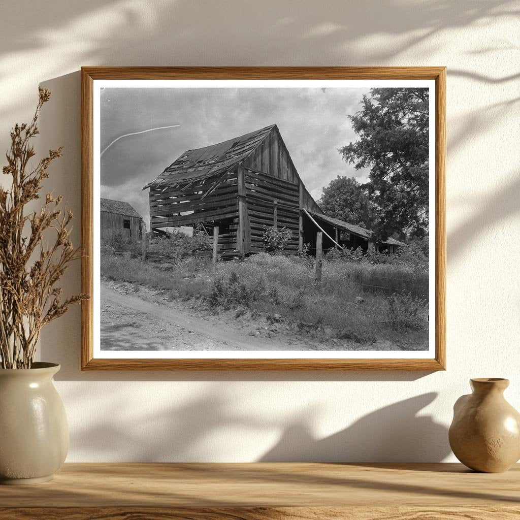 Albemarle County, VA Vintage Architecture Photo, Early 1900s