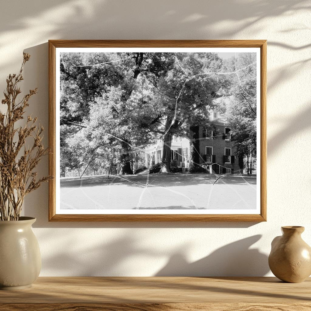 Carters Bridge, Albemarle County, VA, 1798 Photo History