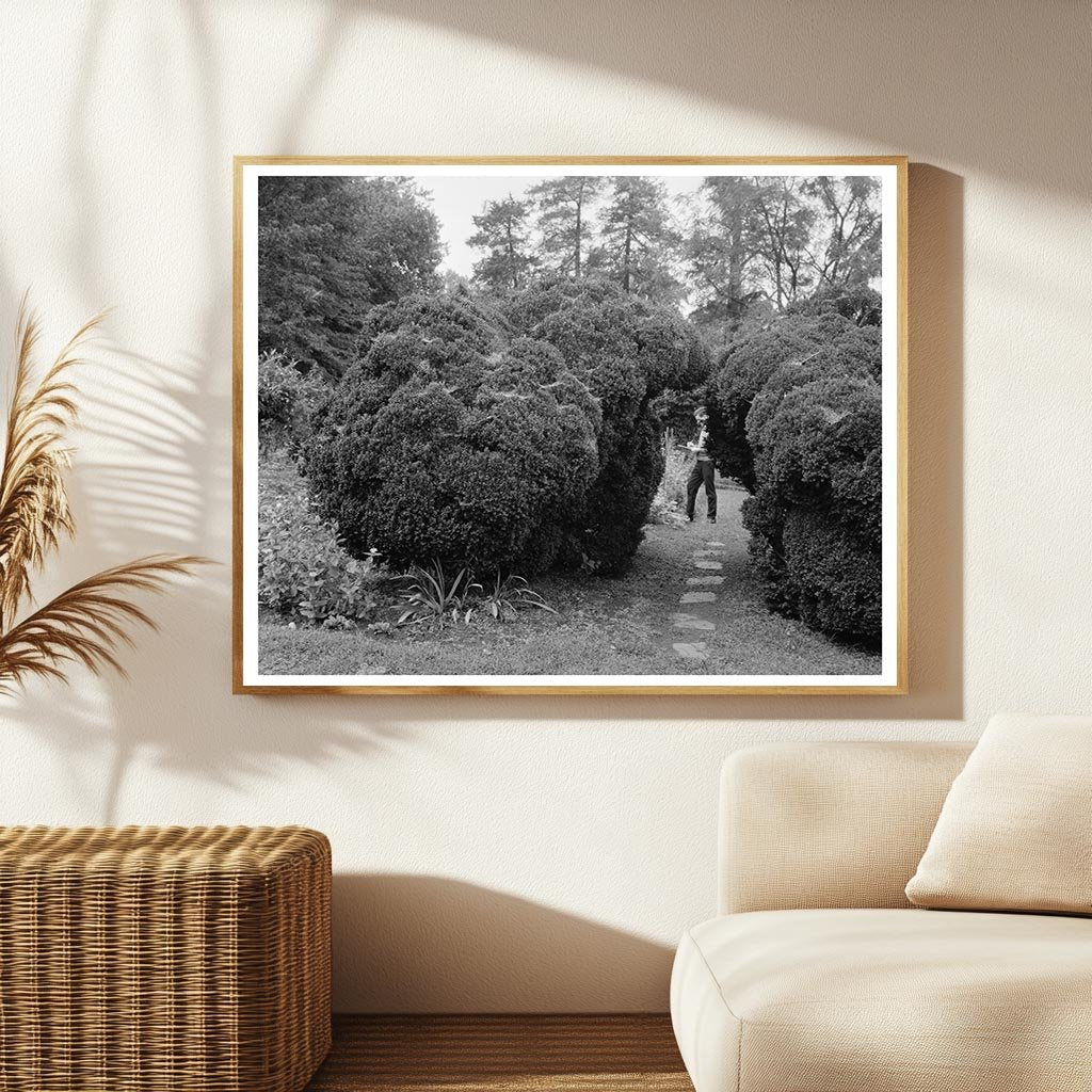 Carters Bridge, Albemarle County, VA, 1798 Historic Photo