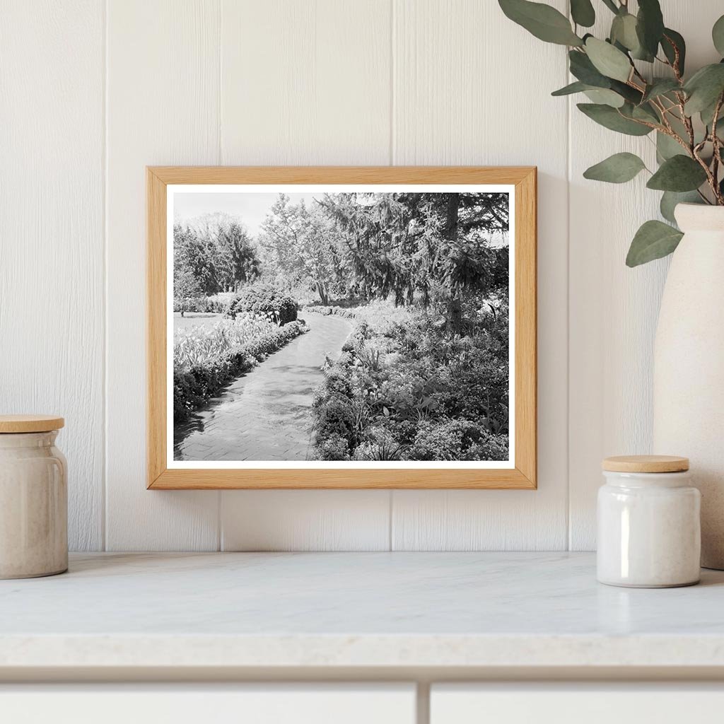 Greenwood, VA Vintage Photo from Carnegie Survey, 1953