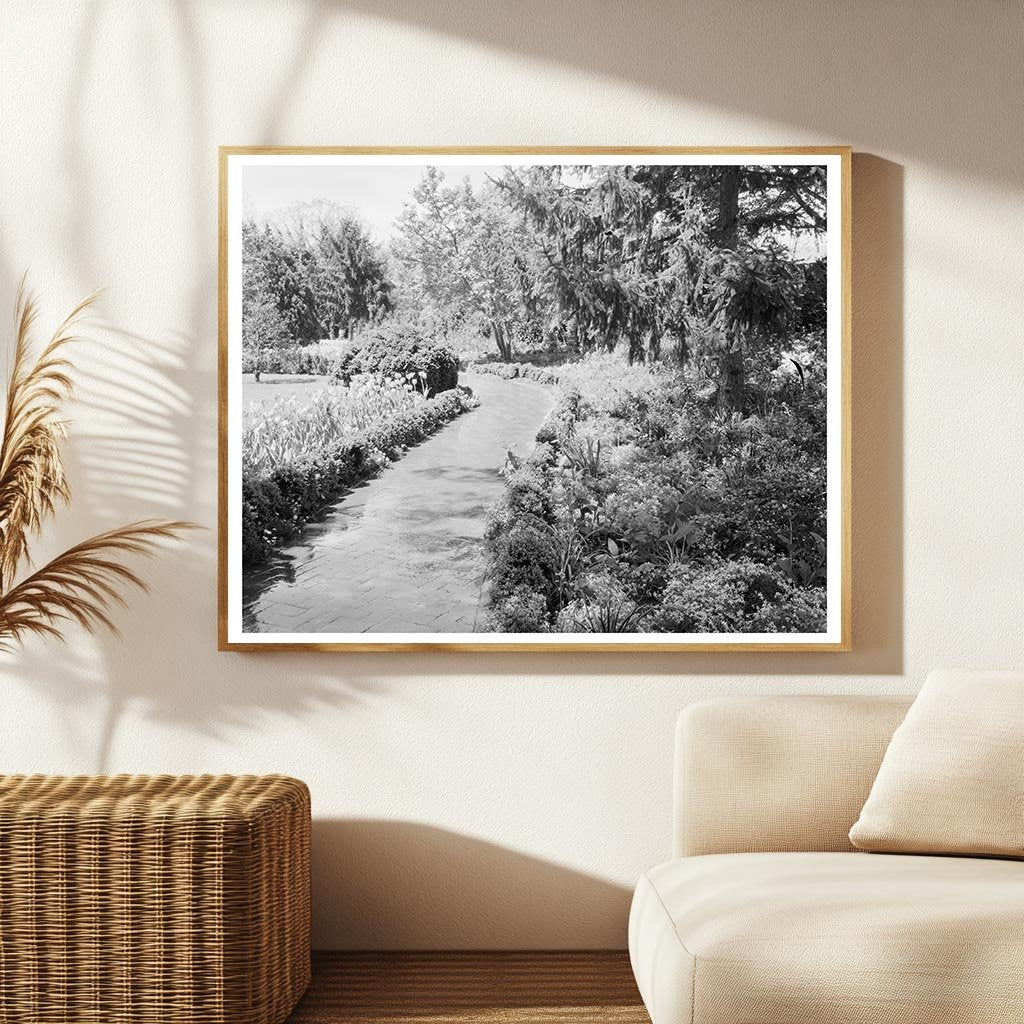 Greenwood, VA Vintage Photo from Carnegie Survey, 1953