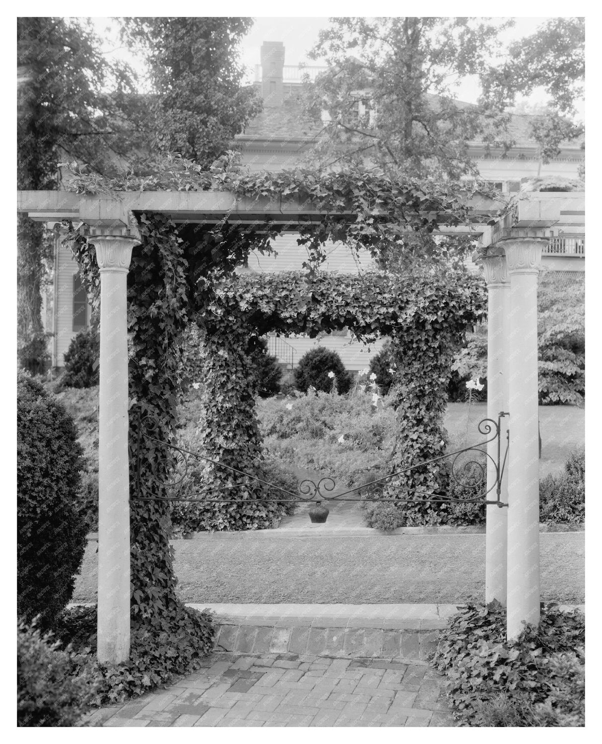 Garden in Greenwood, VA - Early 1900s Vintage Photo