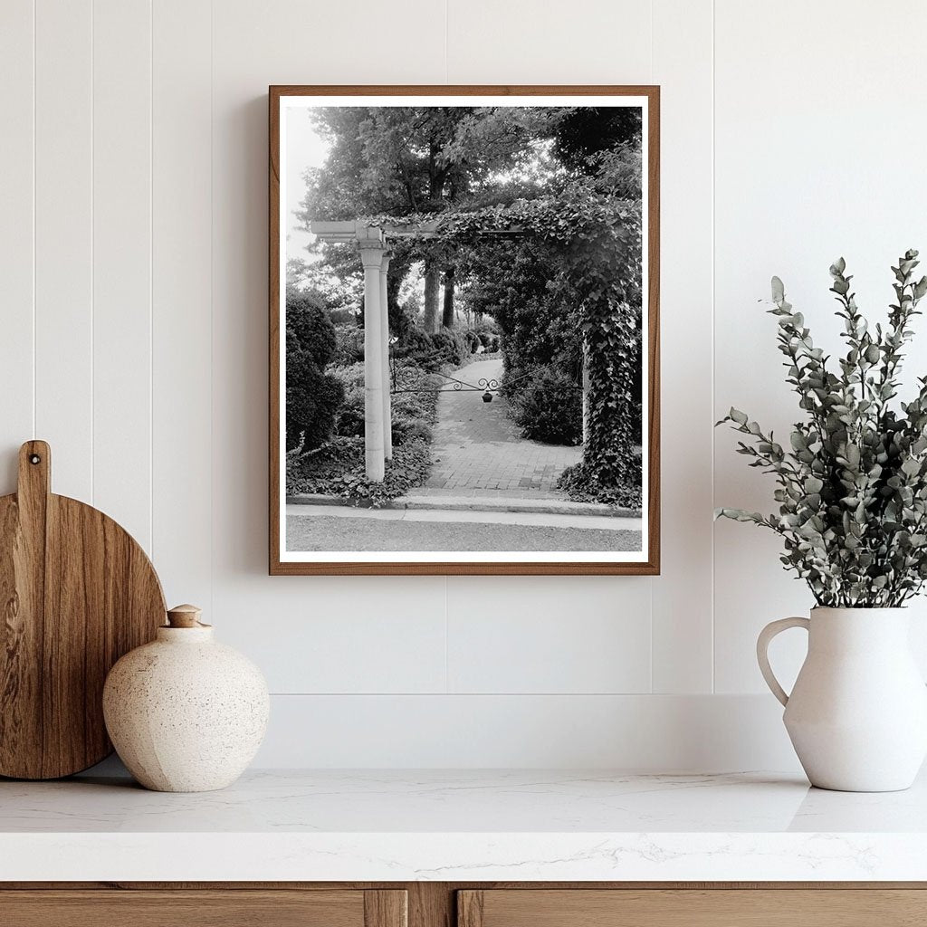 Vintage Garden Arbor Photo, Greenwood VA, 20th Century