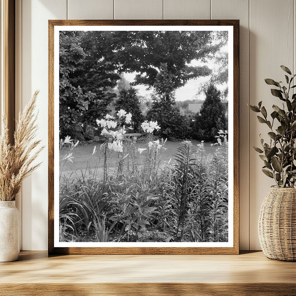 Historic Garden Photo, Greenwood VA, 20th Century