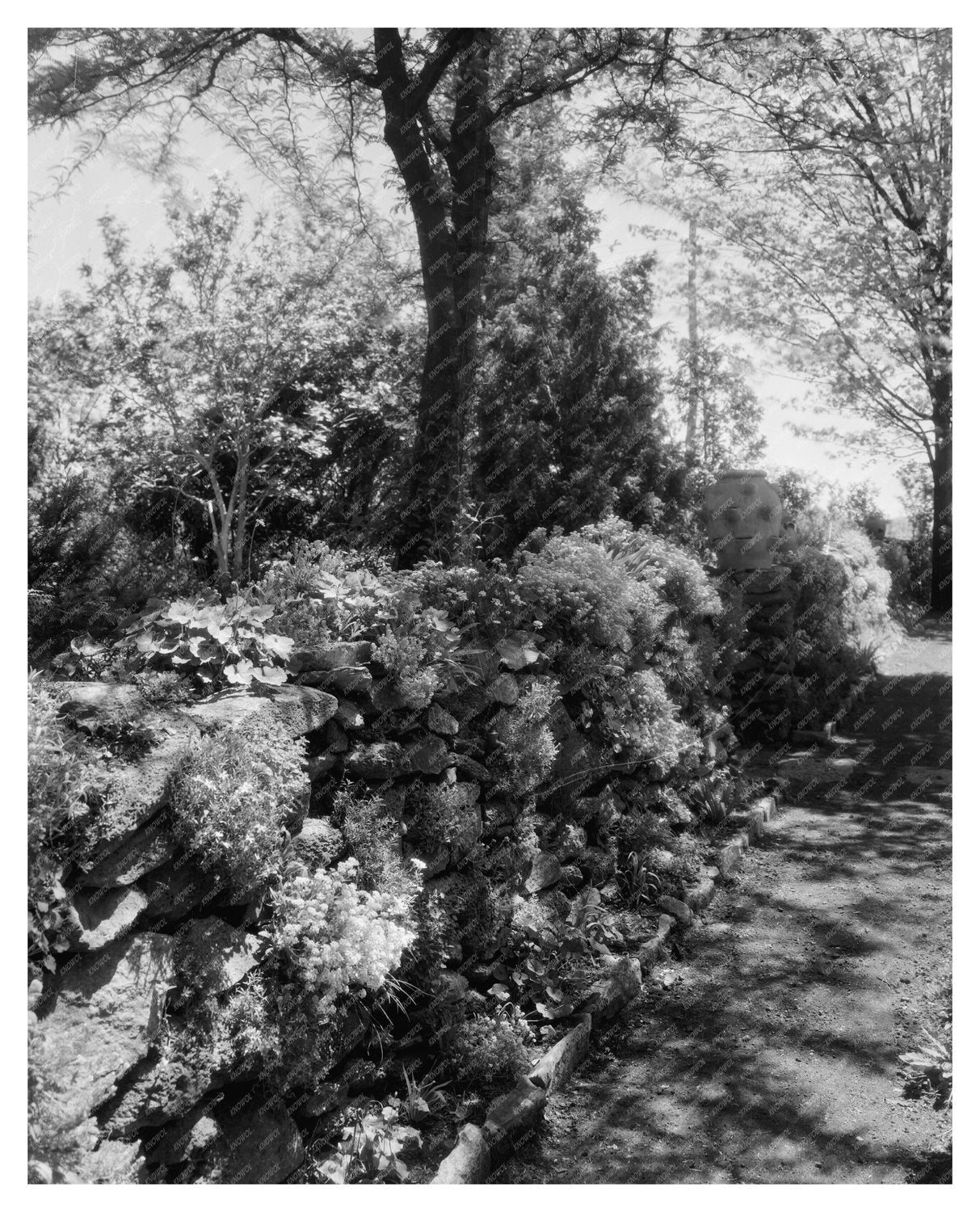 Greenwood, VA Vintage Photo - Carnegie Survey 1910s