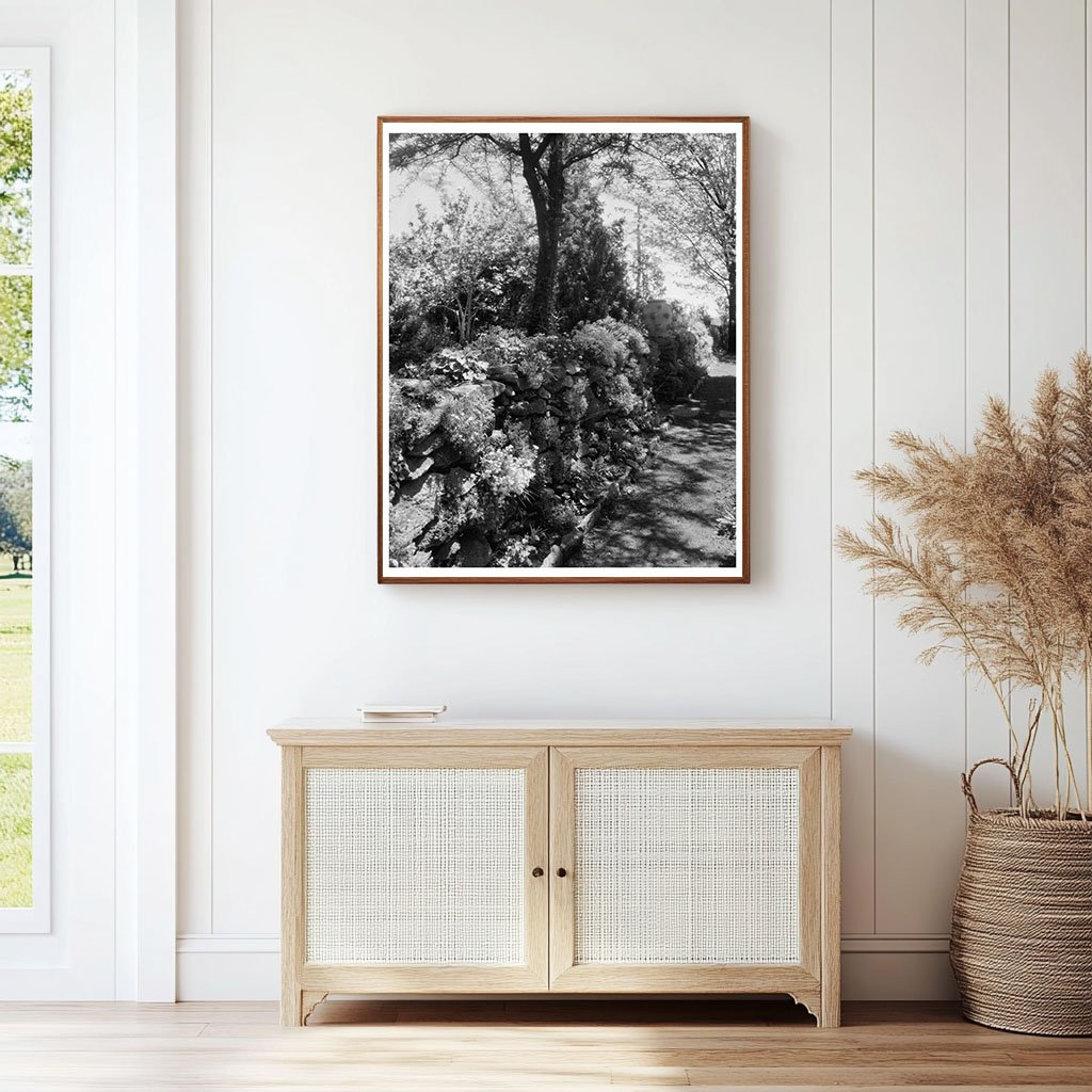 Greenwood, VA Vintage Photo - Carnegie Survey 1910s