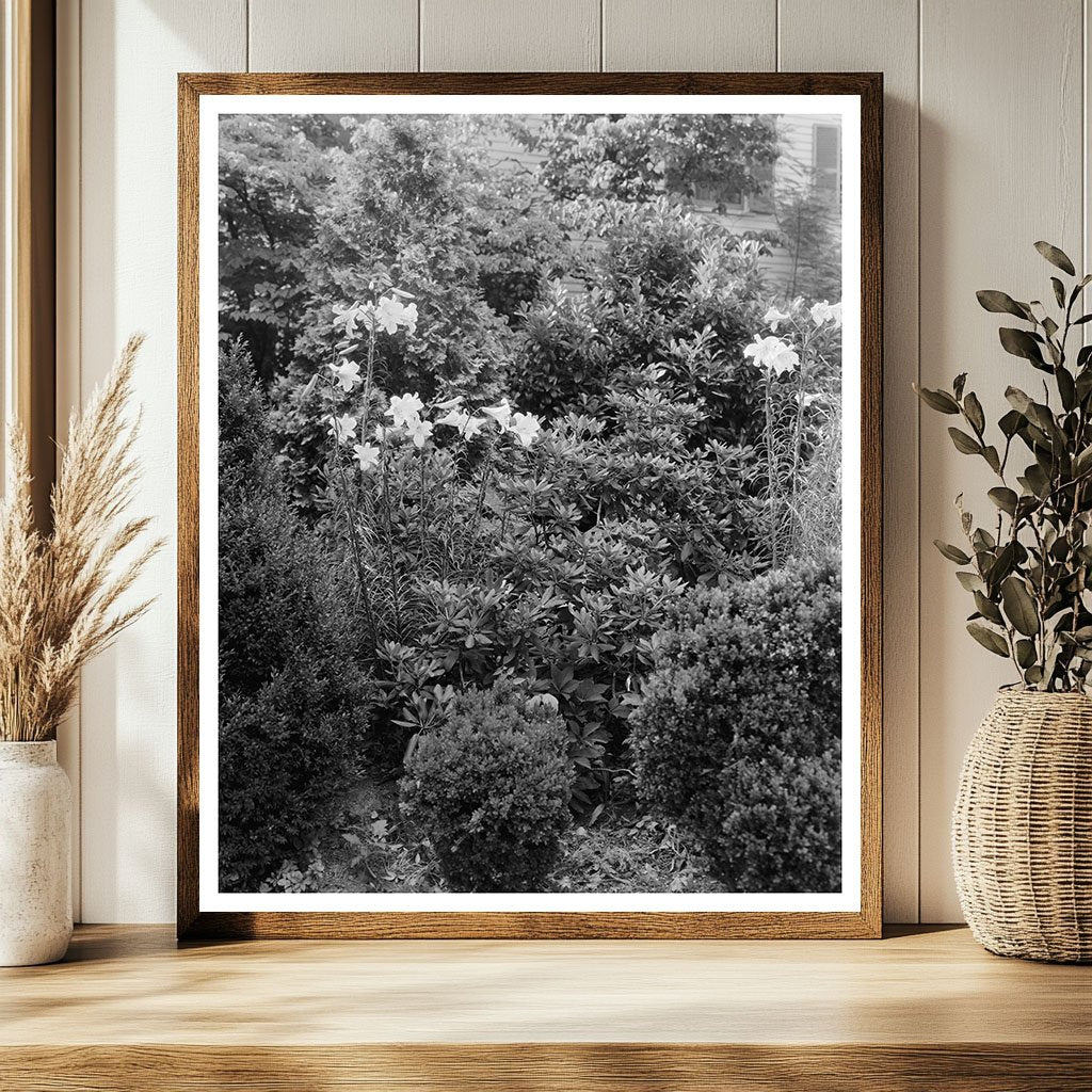 Vintage Garden Scene in Greenwood, Virginia, 20th Century