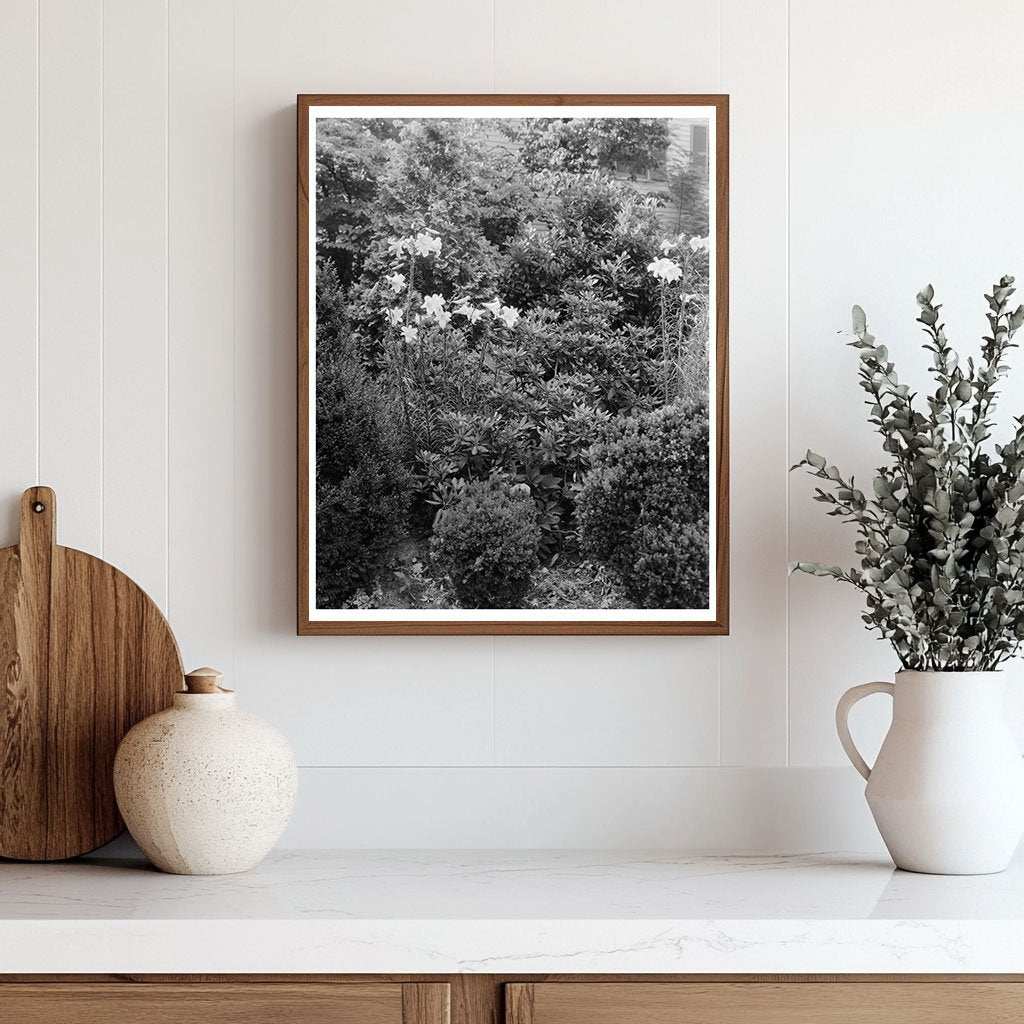 Vintage Garden Scene in Greenwood, Virginia, 20th Century