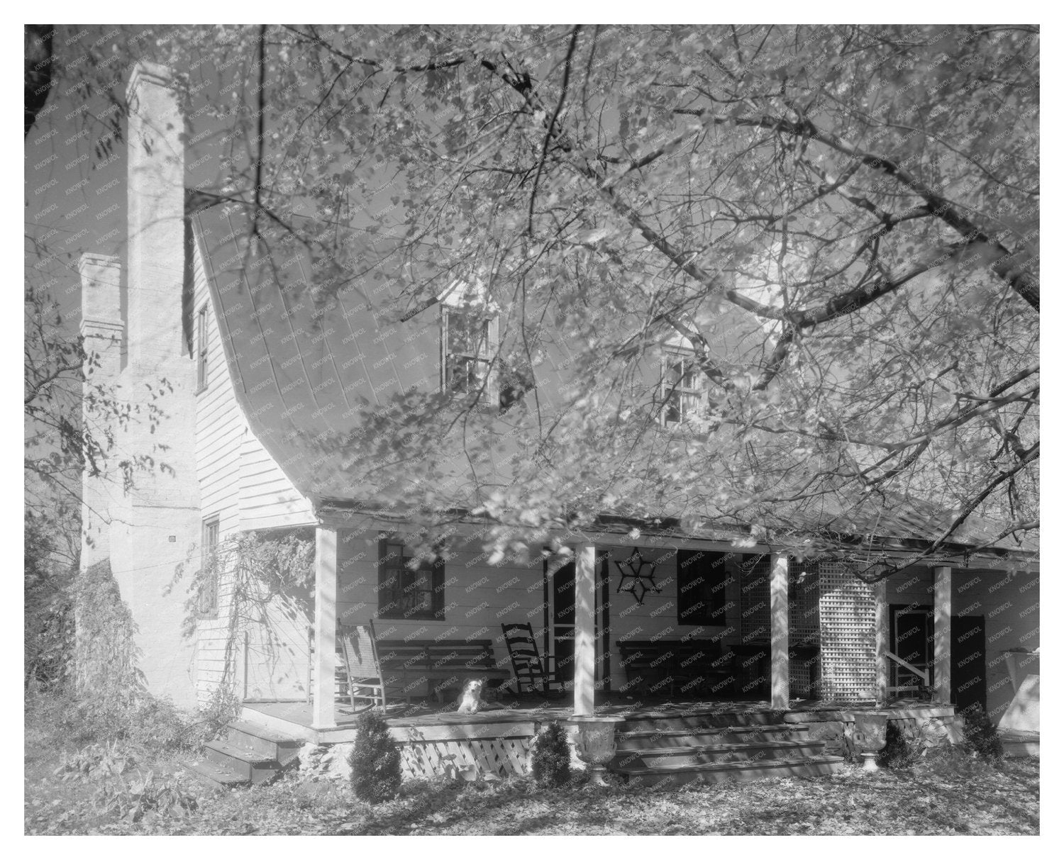 1953 Vintage Home Photo, Albemarle County, Virginia