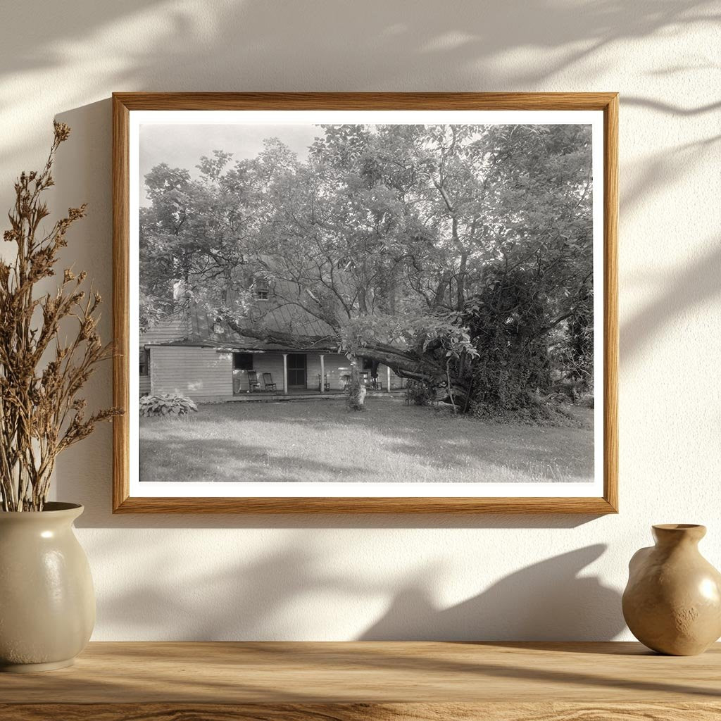 Historic House in Campbell, VA - 1732 Architecture