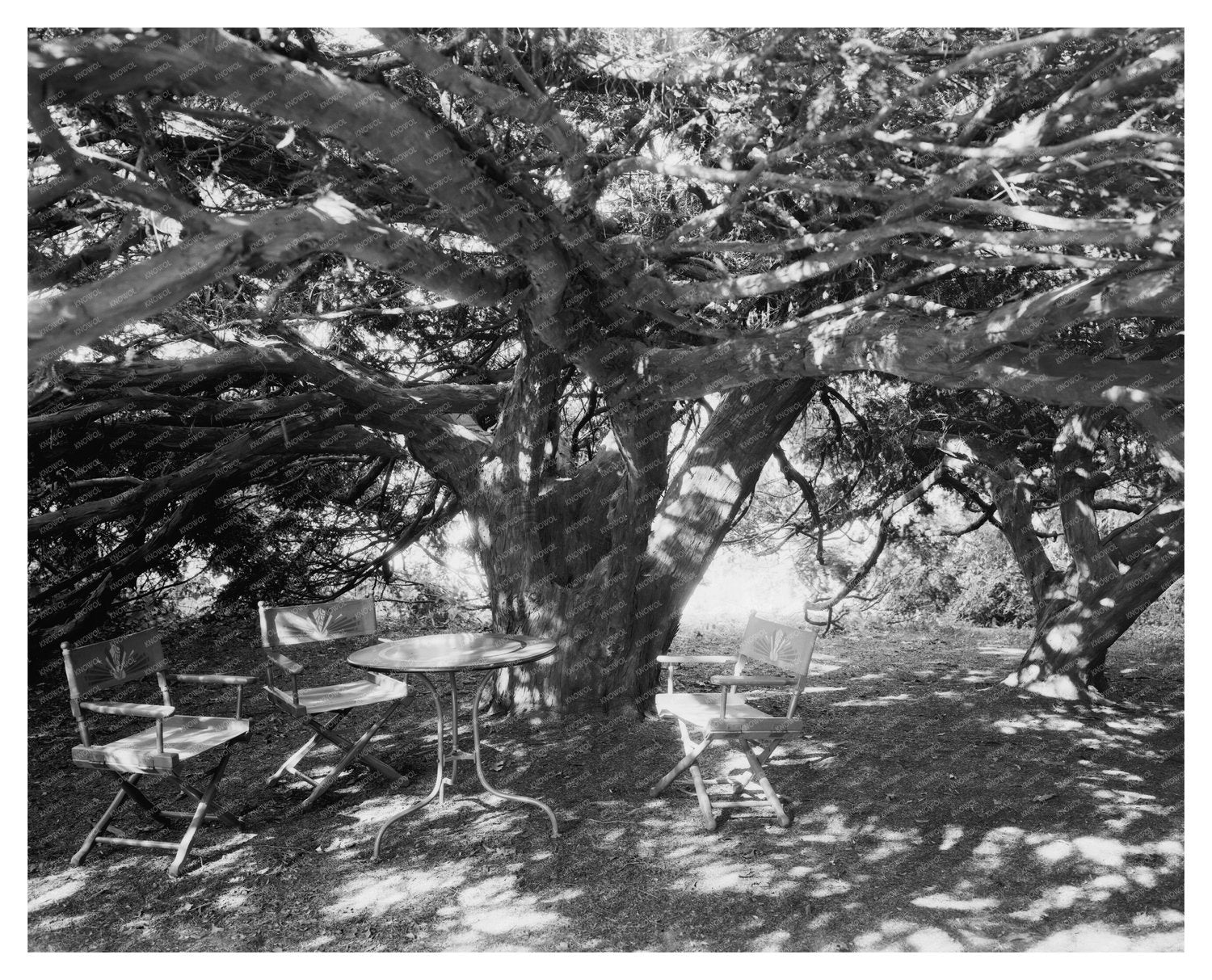 Vintage Photo of Green Mountain, VA Architecture (1810-1812)