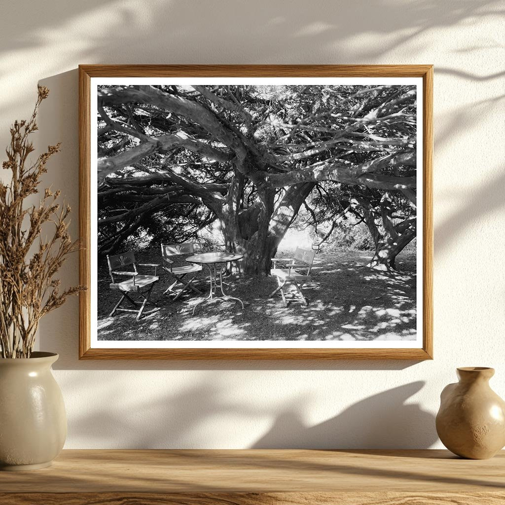 Vintage Photo of Green Mountain, VA Architecture (1810-1812)