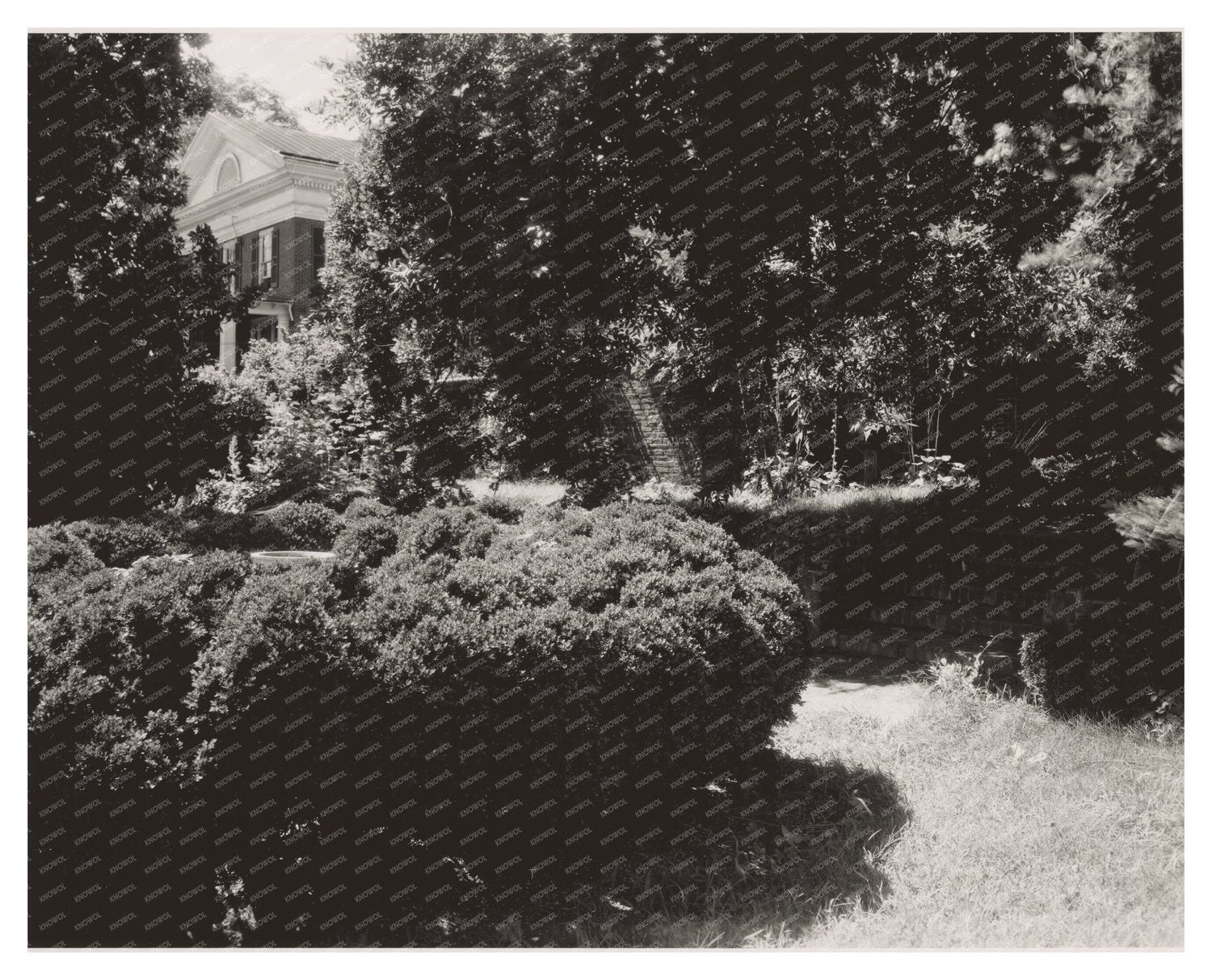 Charlottesville VA Garden Photo, Carnegie Survey 1900s