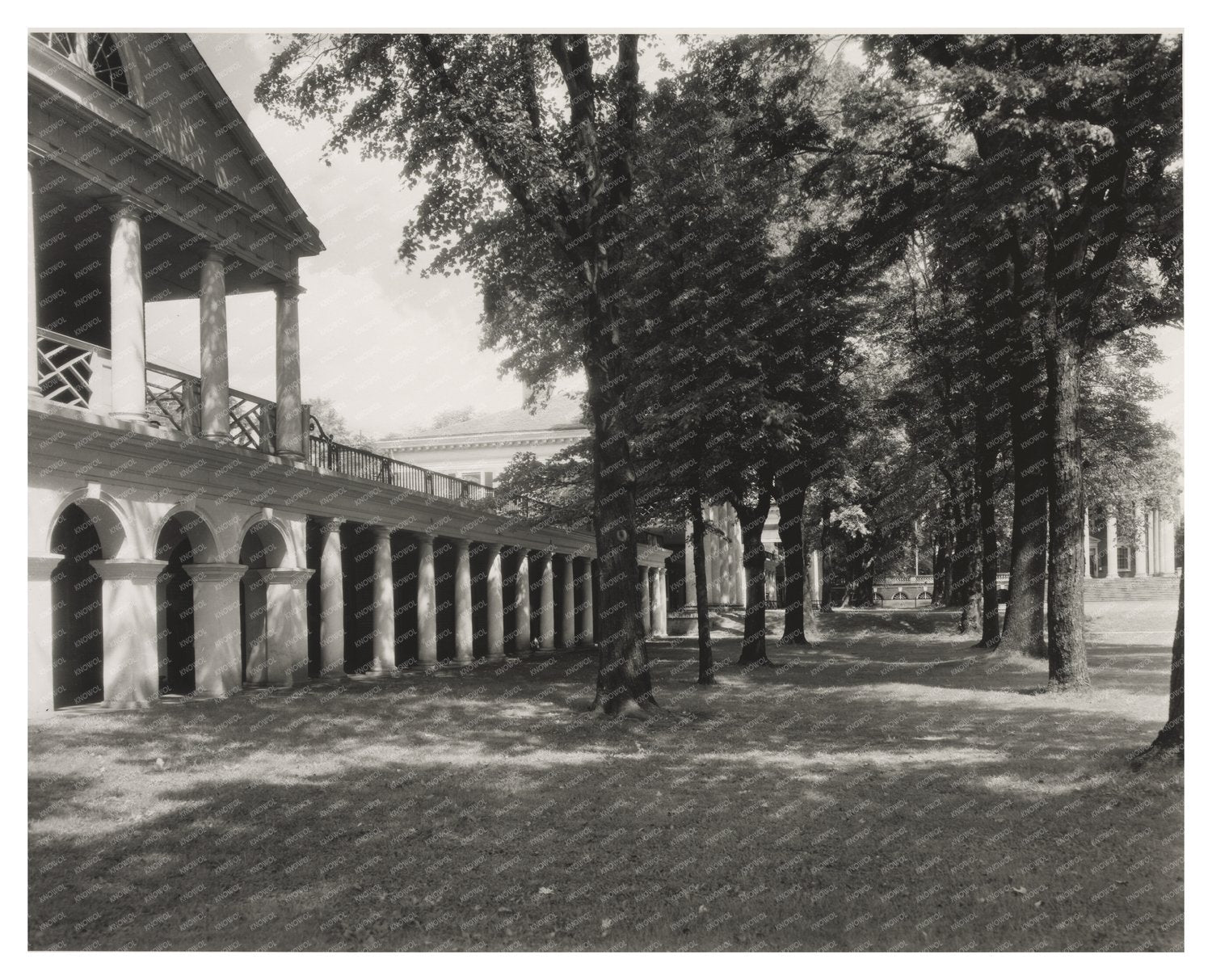 Charlottesville VA Architecture 1900s Vintage Photo