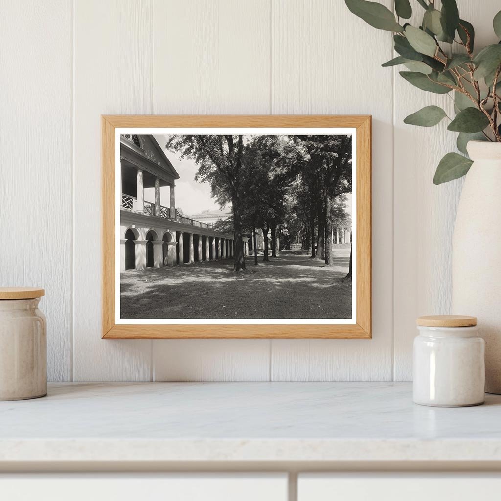 Charlottesville VA Architecture 1900s Vintage Photo