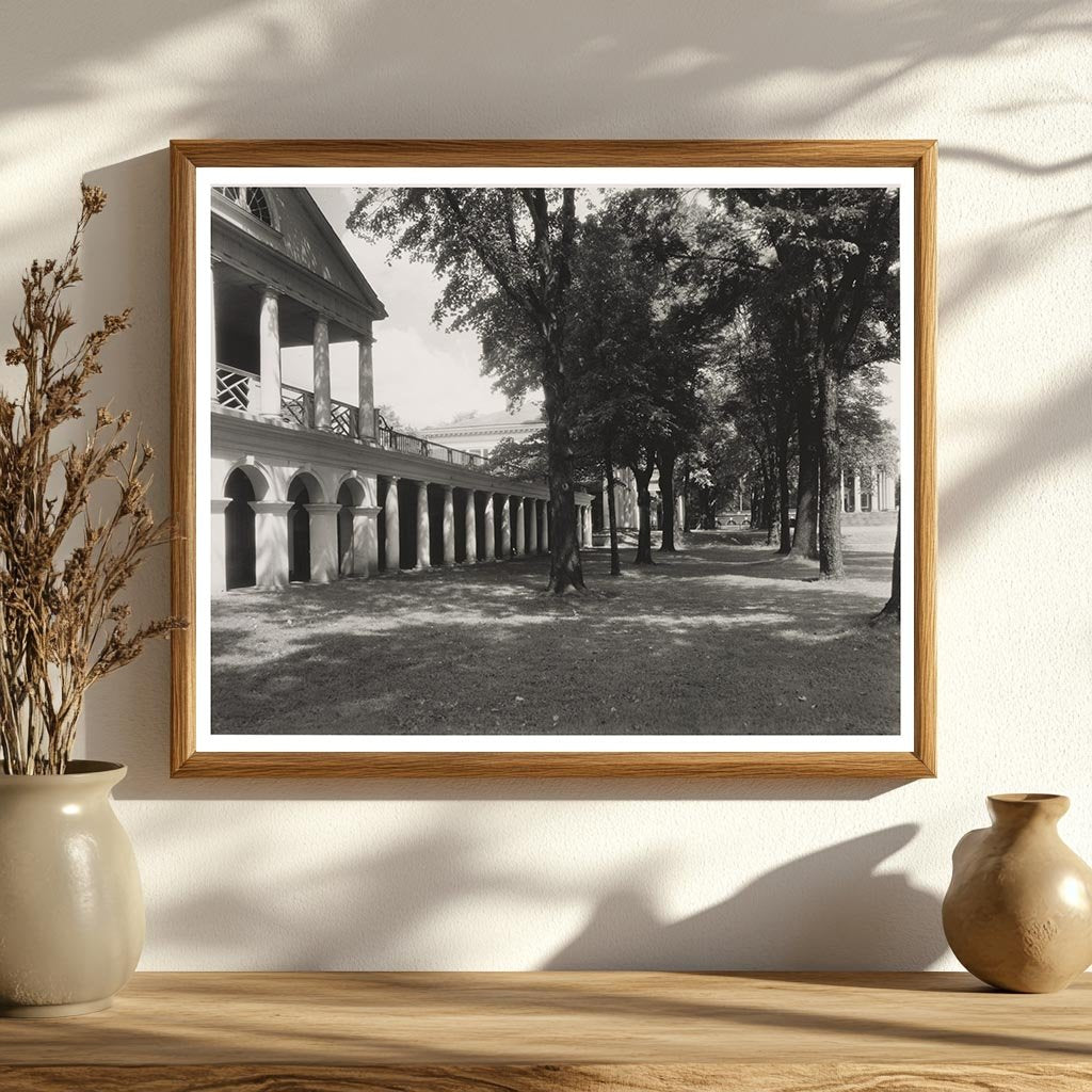Charlottesville VA Architecture 1900s Vintage Photo