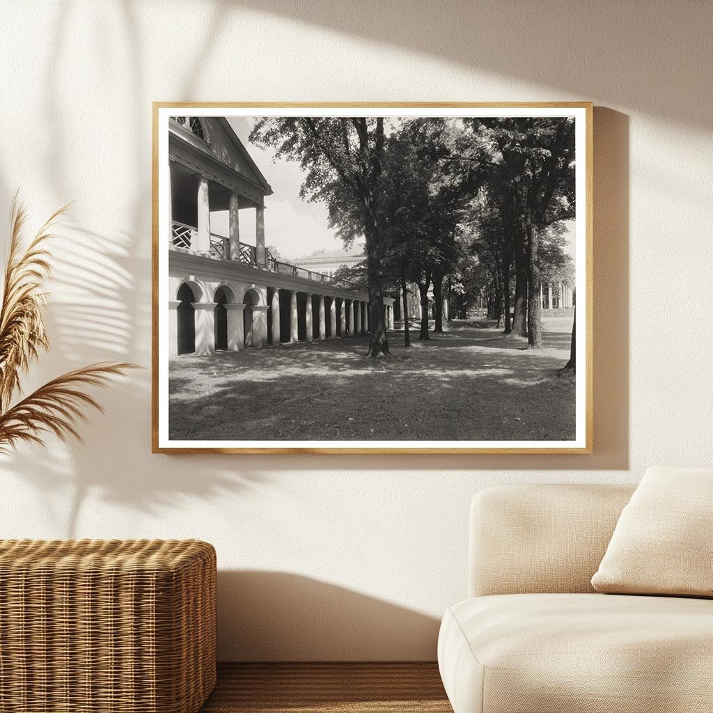 Charlottesville VA Architecture 1900s Vintage Photo