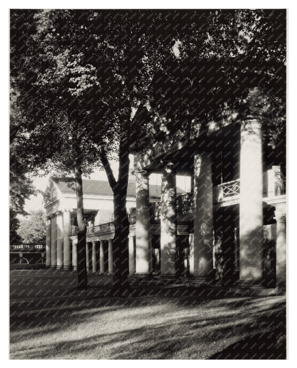 Charlottesville VA Colonnades Photo, 1953