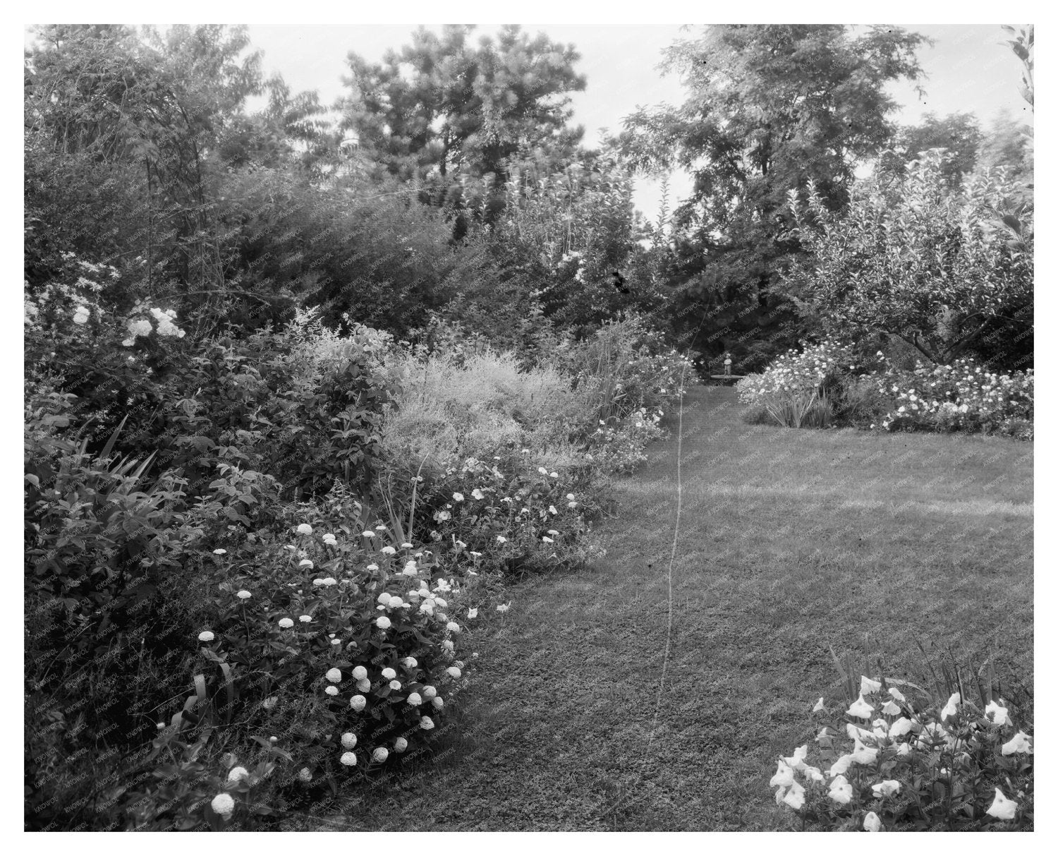 Garden Scene in Staunton, VA - Early 20th Century