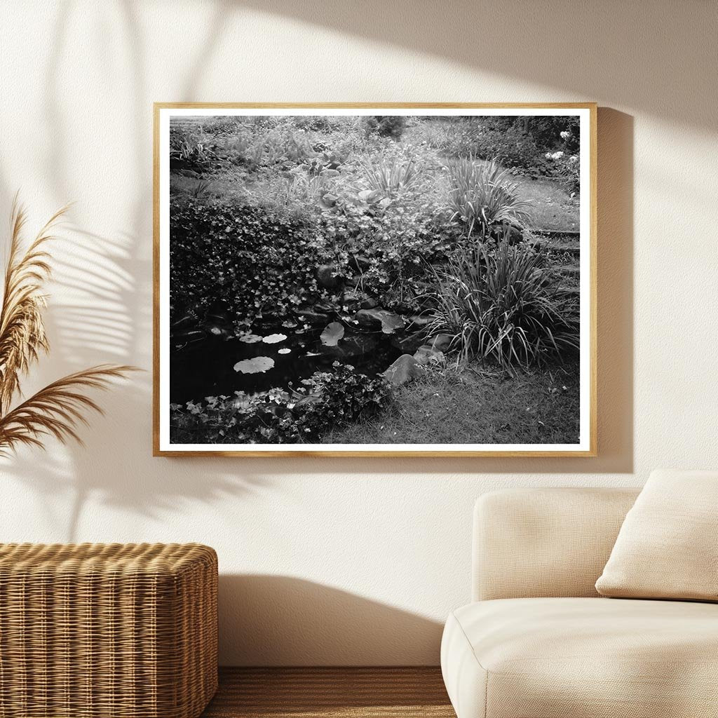 Staunton VA Water Garden Photo, 1953