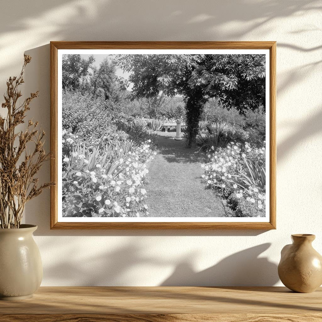 Garden Scene in Staunton, Virginia 20th Century