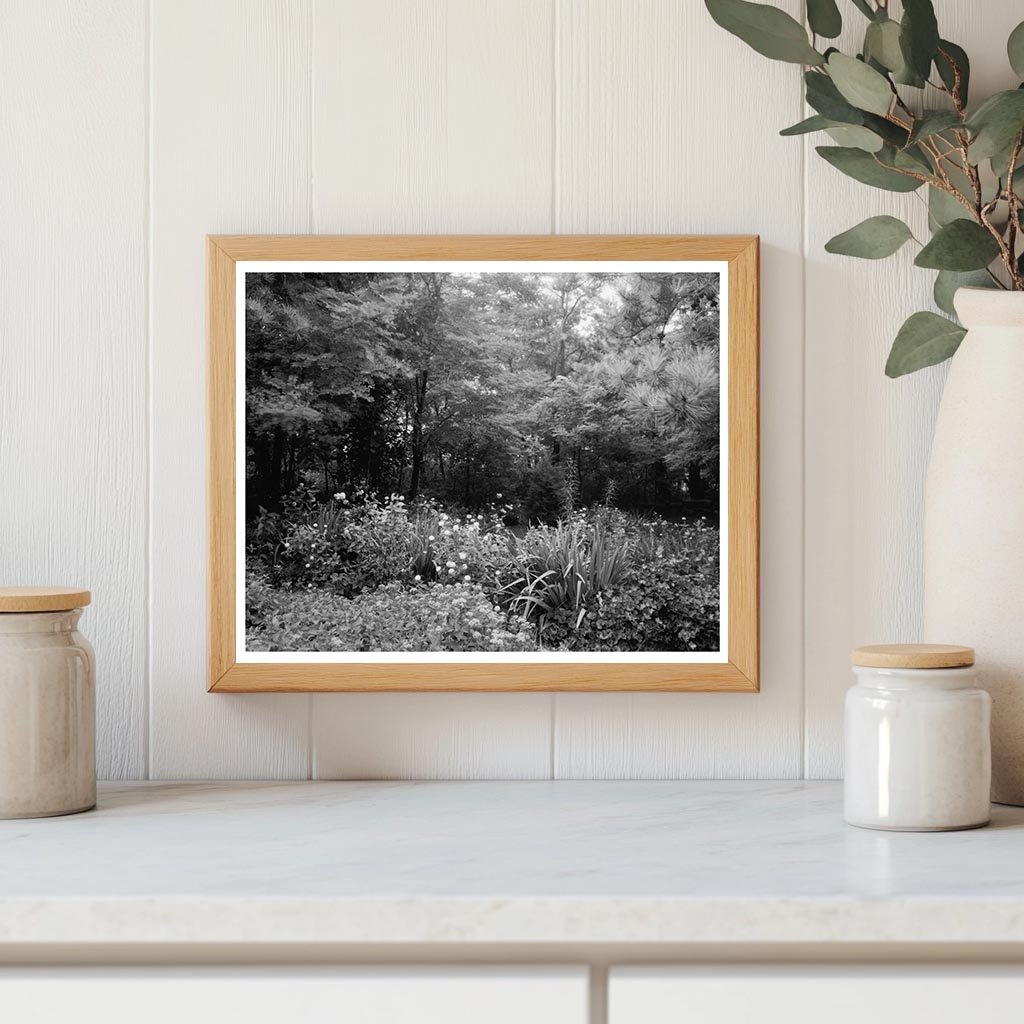 Staunton VA Garden Scene, Mid-20th Century