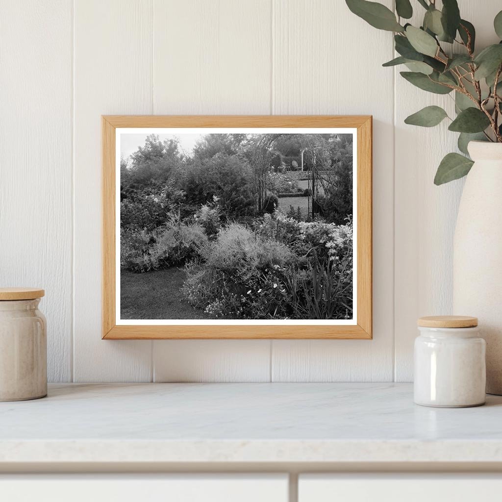 Vintage Garden Photo, Staunton VA, 20th Century