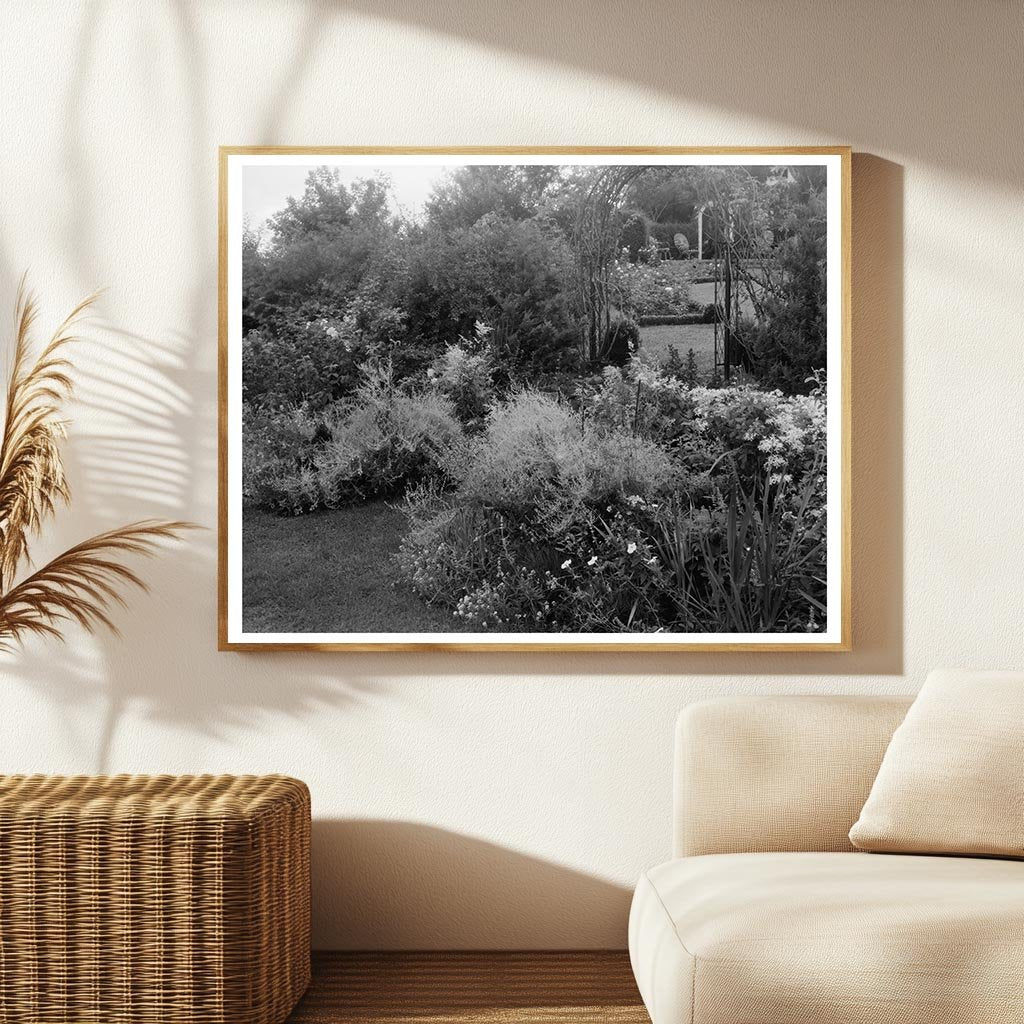 Vintage Garden Photo, Staunton VA, 20th Century