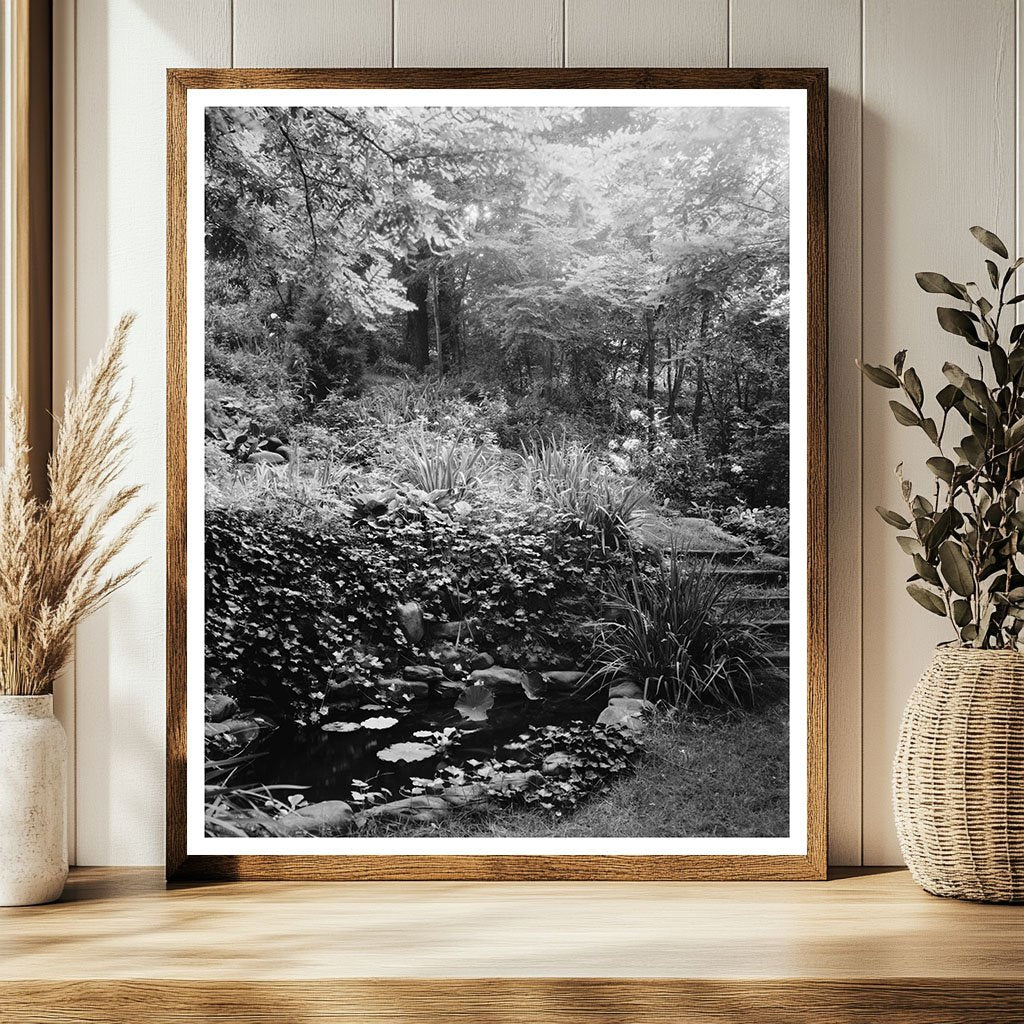 Water Garden in Staunton, VA - 20th Century Photograph