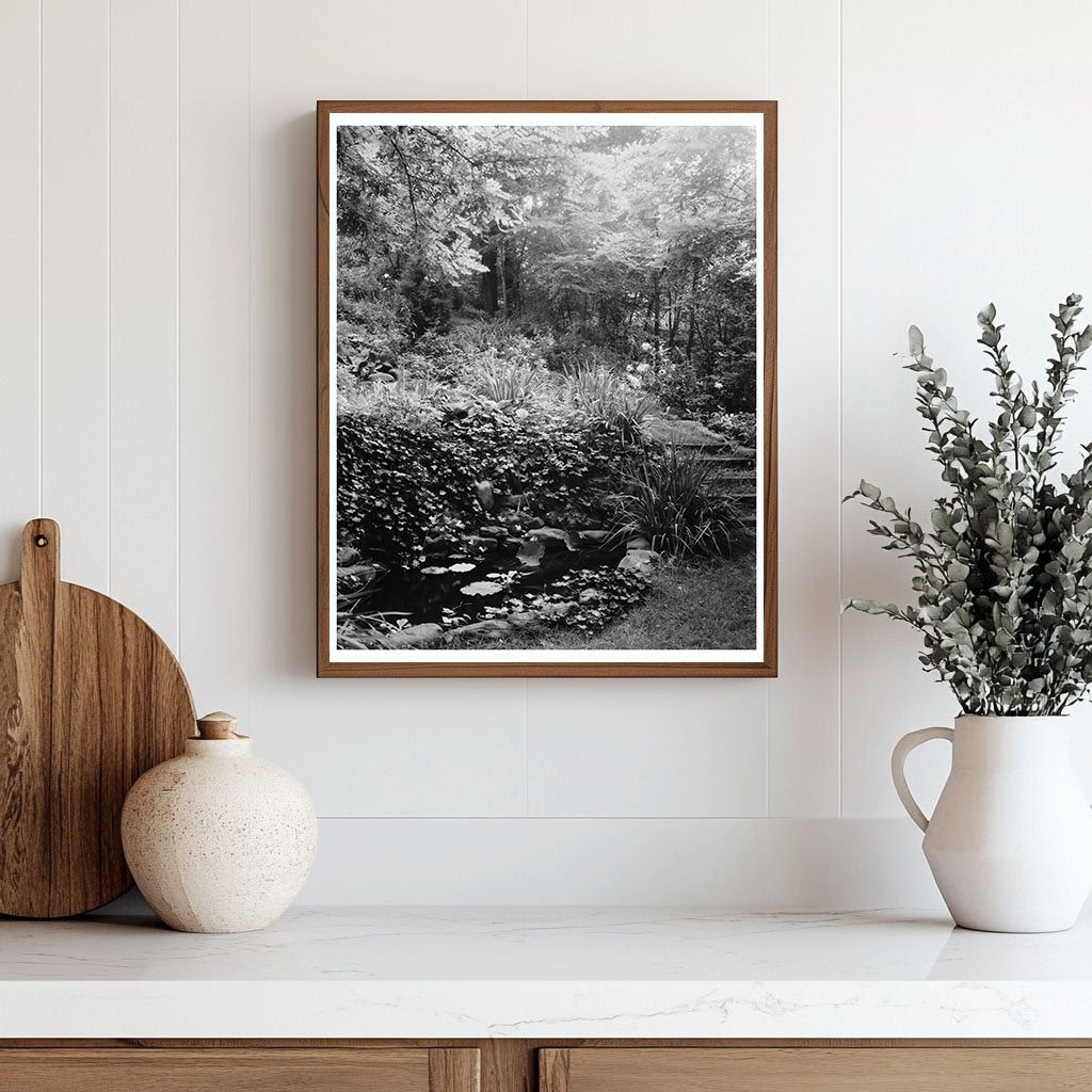 Water Garden in Staunton, VA - 20th Century Photograph