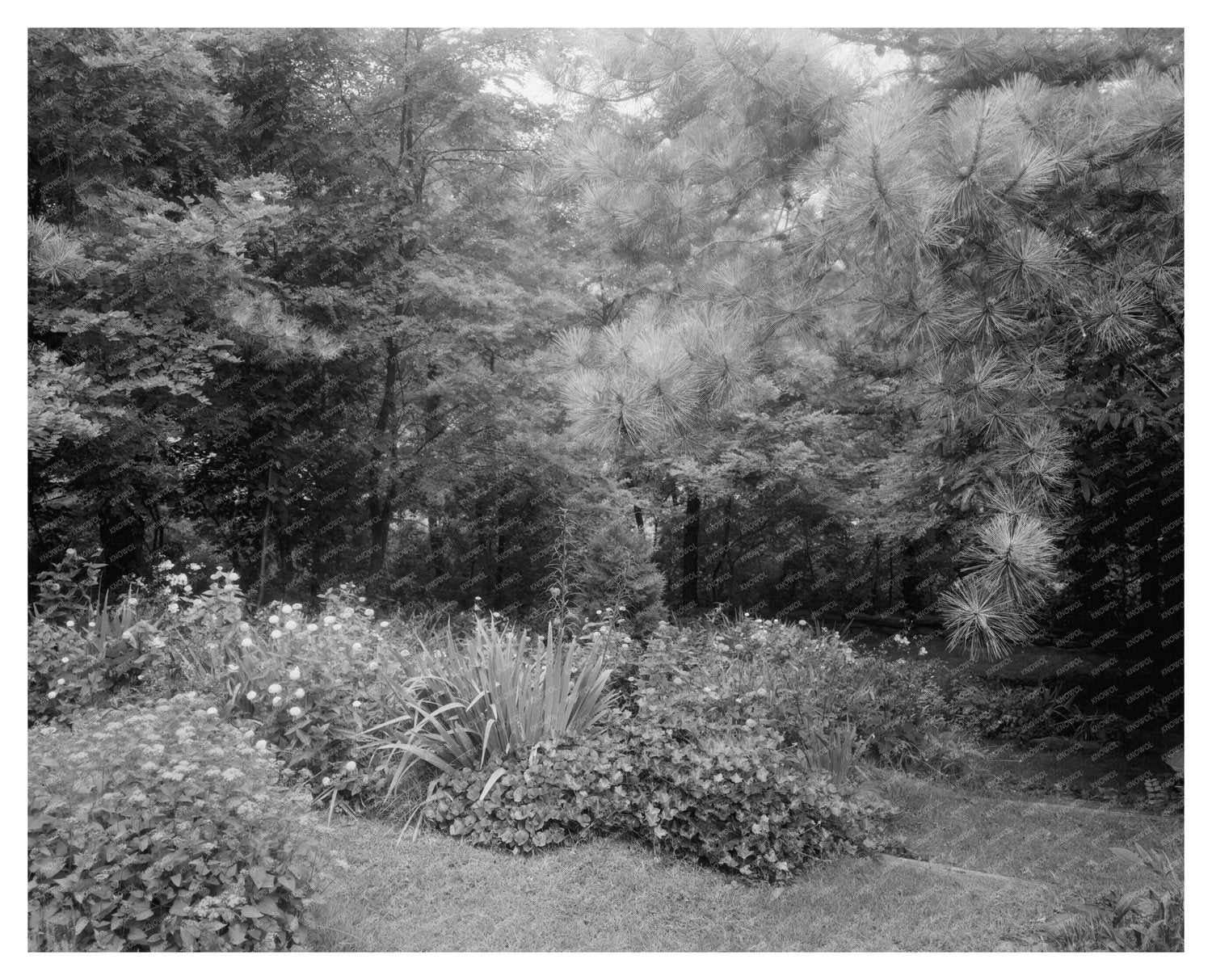 Staunton VA Architecture Photo, Carnegie Survey 20th Century