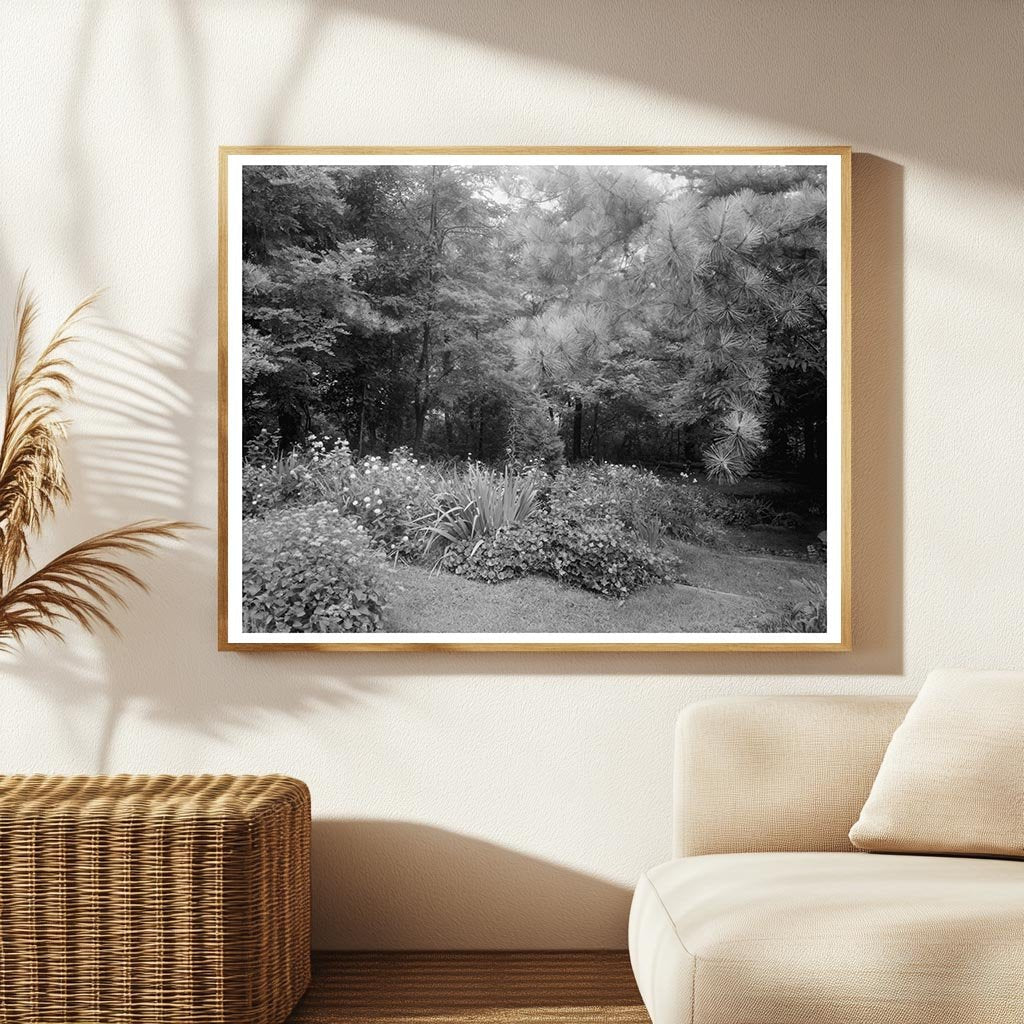 Staunton VA Architecture Photo, Carnegie Survey 20th Century