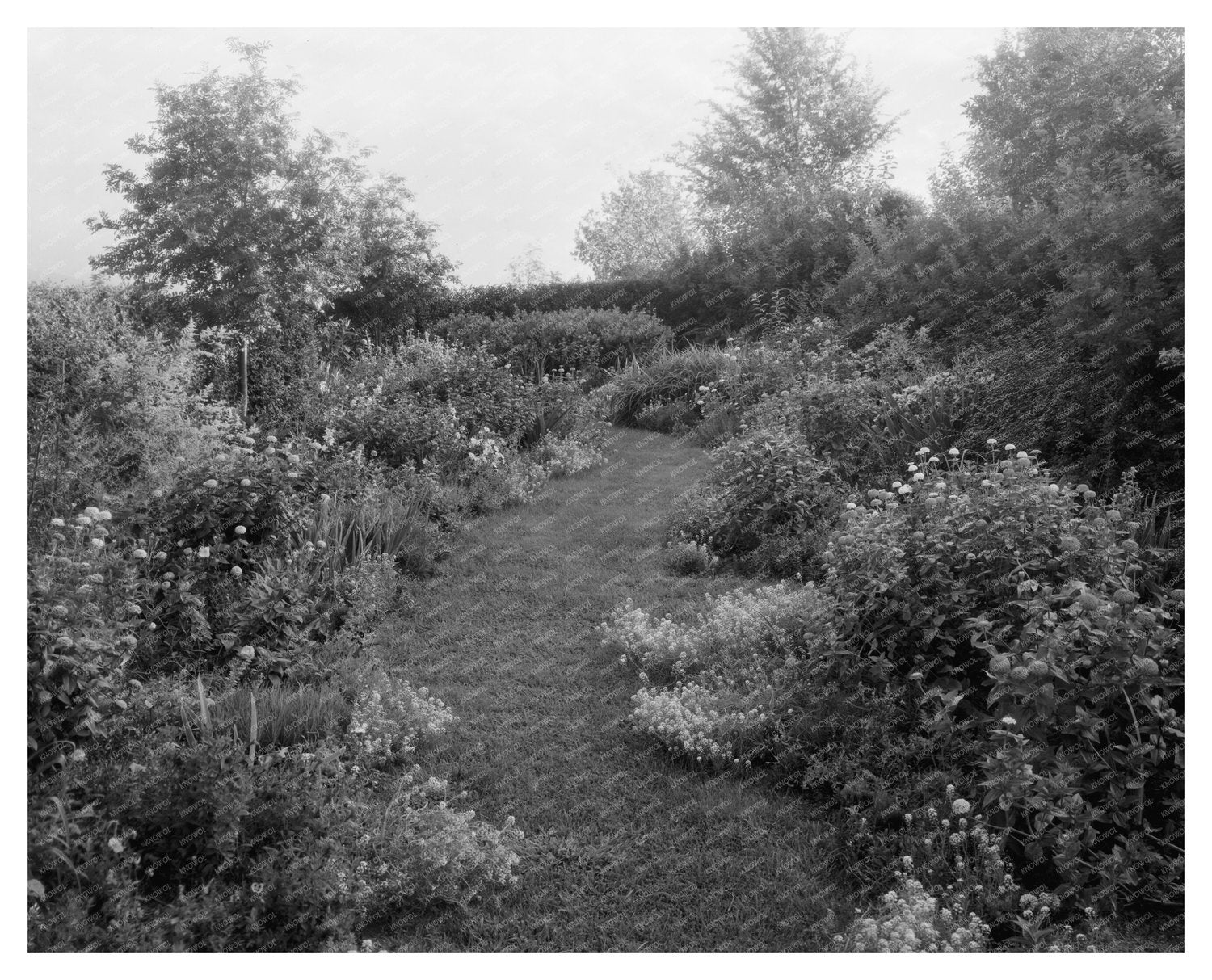 Staunton VA Garden History 1900s: Vintage Photograph