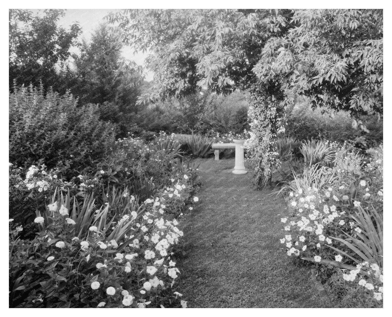 Vintage Garden Photo in Staunton, VA - Early 20th Century