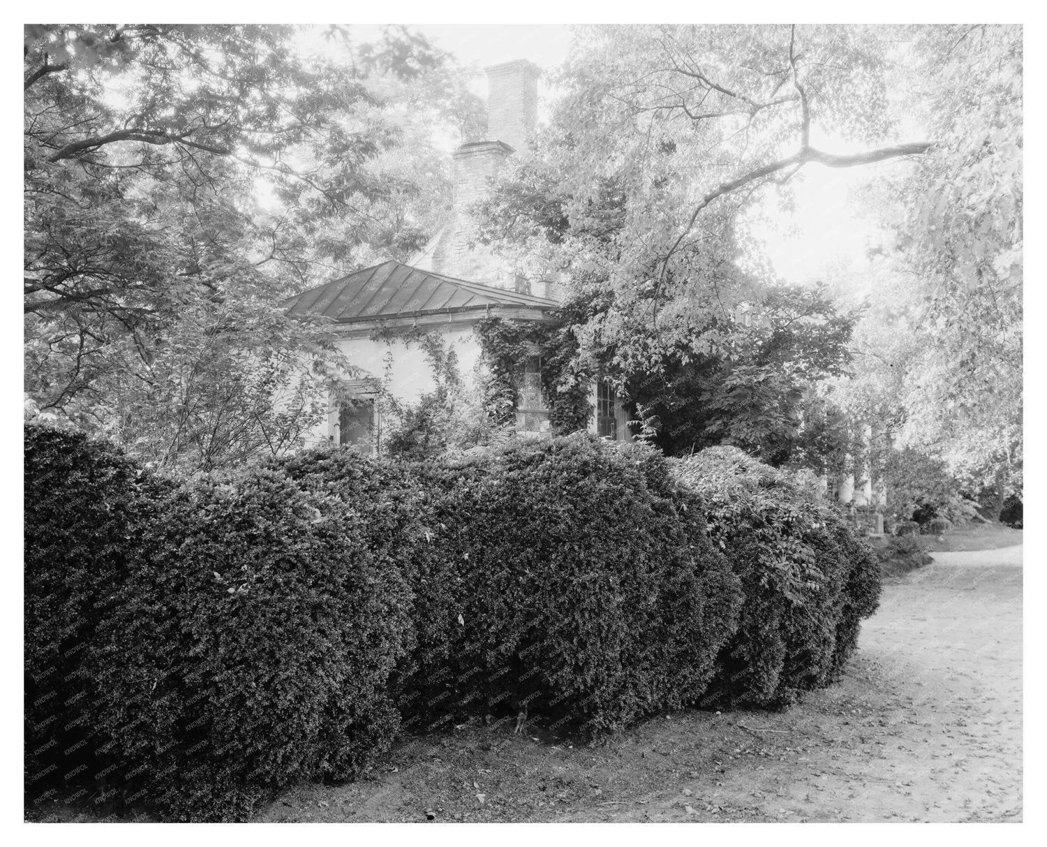 Rose Hill, Caroline County, VA - Historic Photo 1725