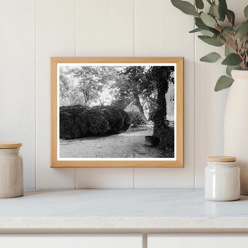 Rose Hill, Caroline County, VA: 18th-Century Architecture