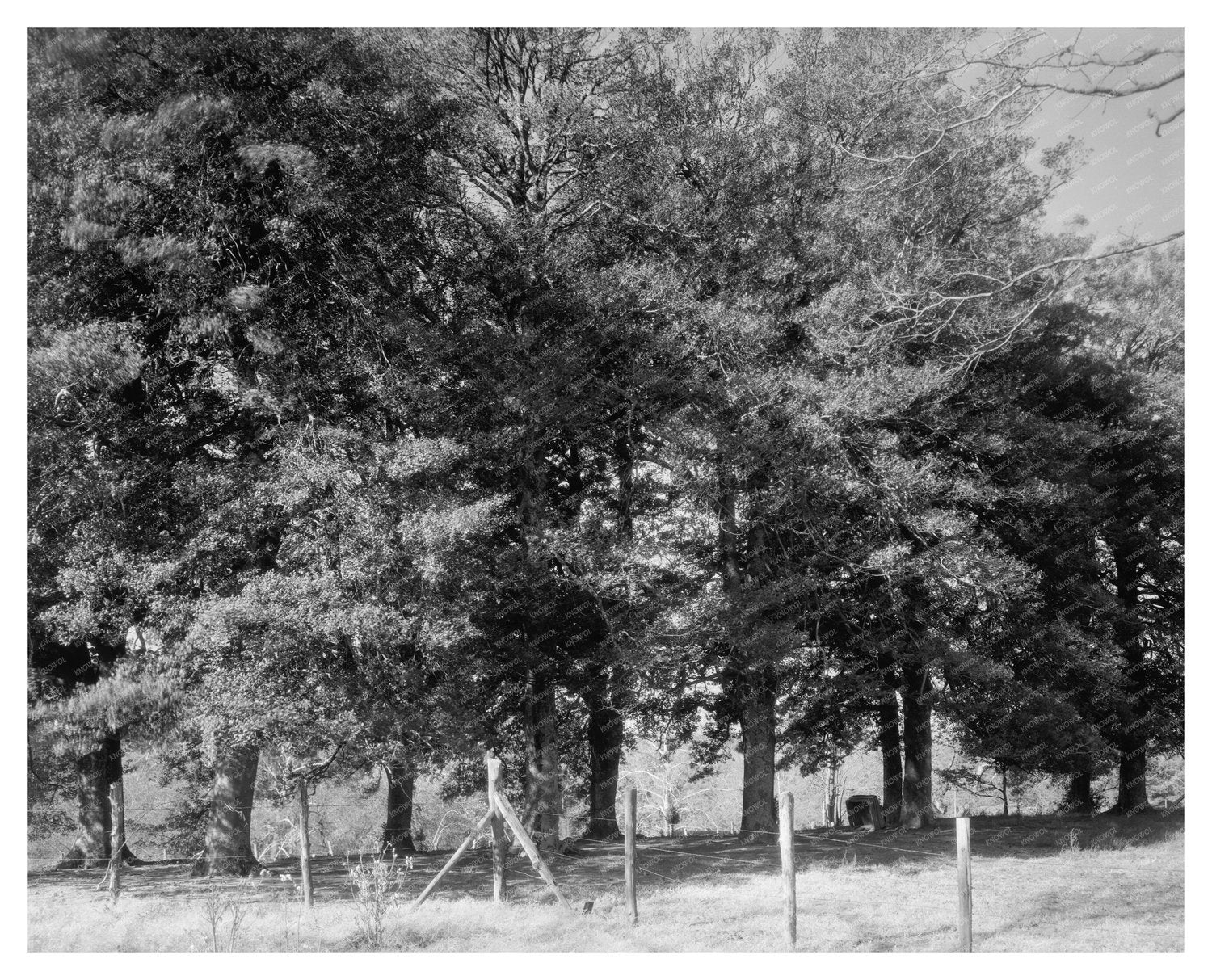 Historic Building in Bowling Green, VA - 1700s Photo