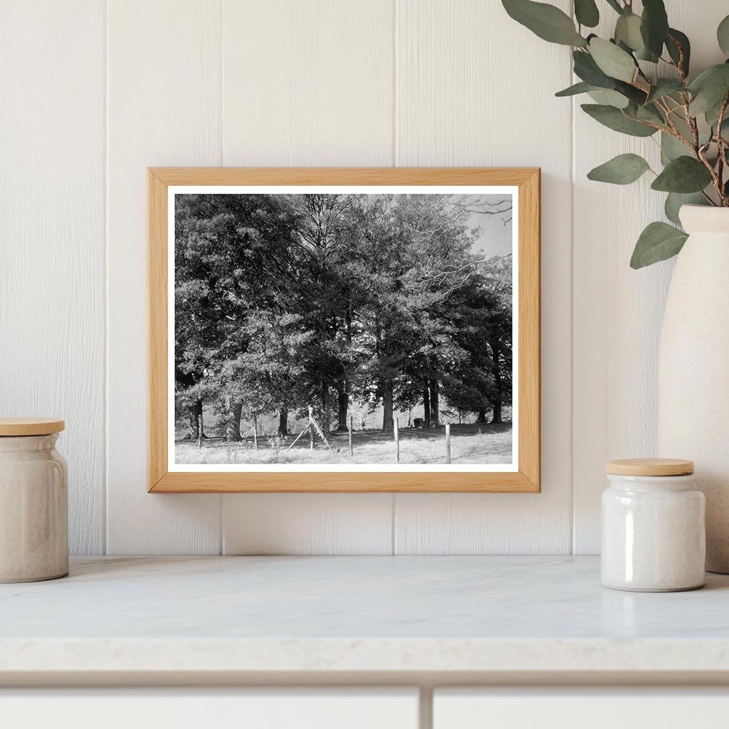 Historic Building in Bowling Green, VA - 1700s Photo