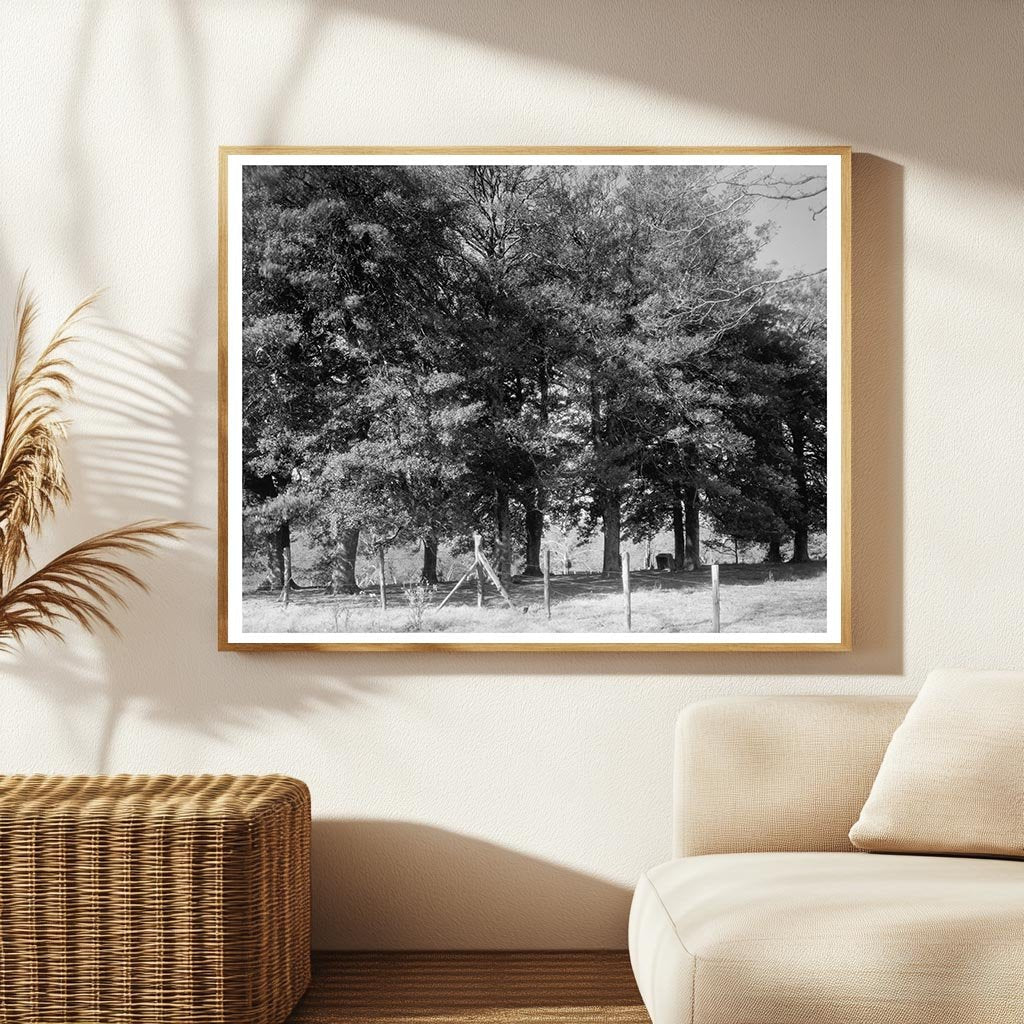 Historic Building in Bowling Green, VA - 1700s Photo