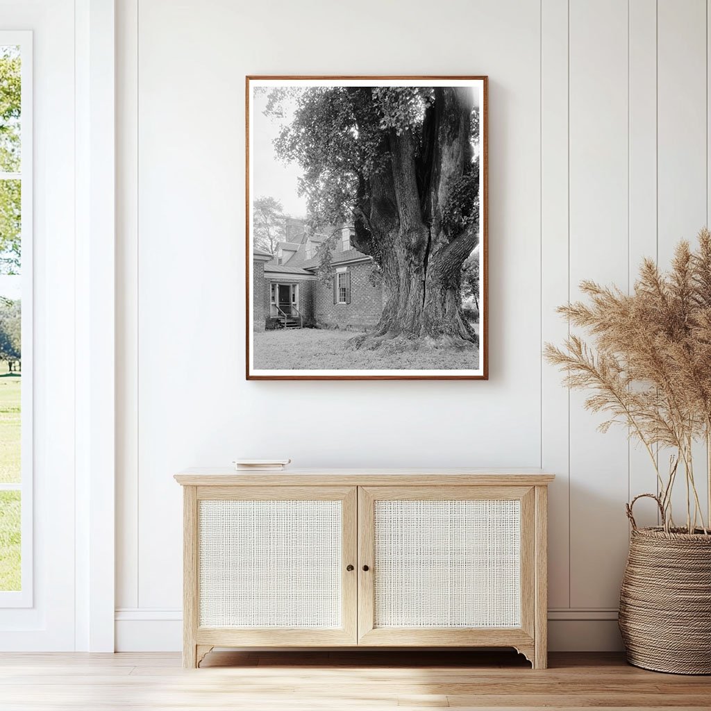 Charles City, VA Architecture - Vintage Photo 1900s