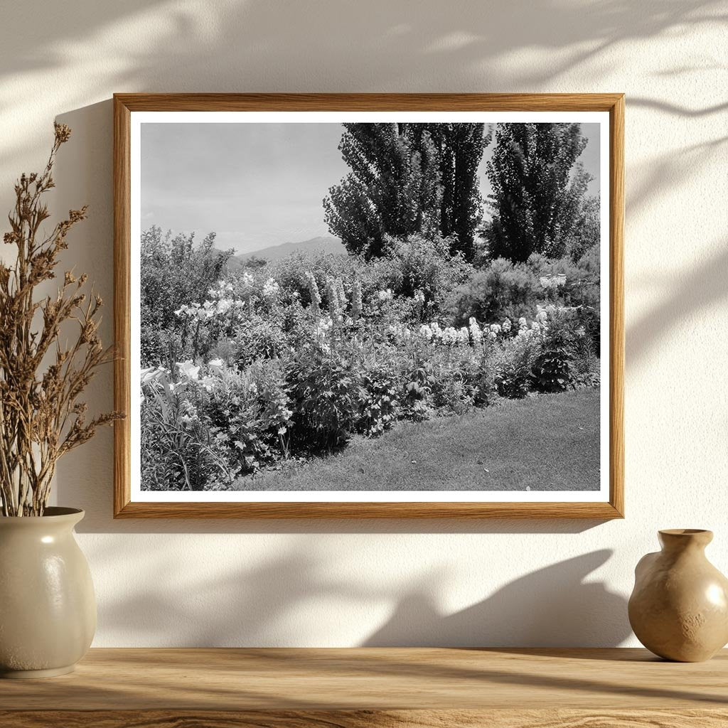 Lynchburg VA Garden Photo, Early 20th Century