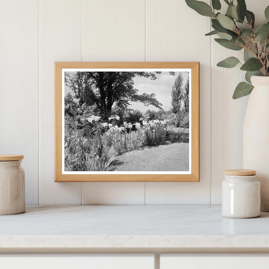 Lynchburg, VA Garden Photography from 20th Century