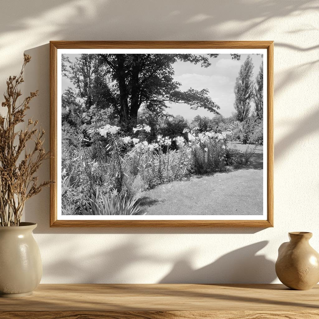 Lynchburg, VA Garden Photography from 20th Century