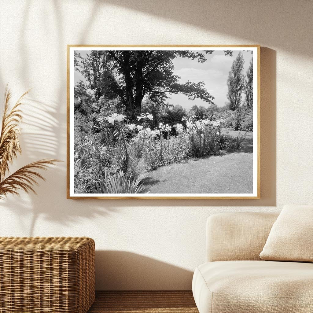 Lynchburg, VA Garden Photography from 20th Century