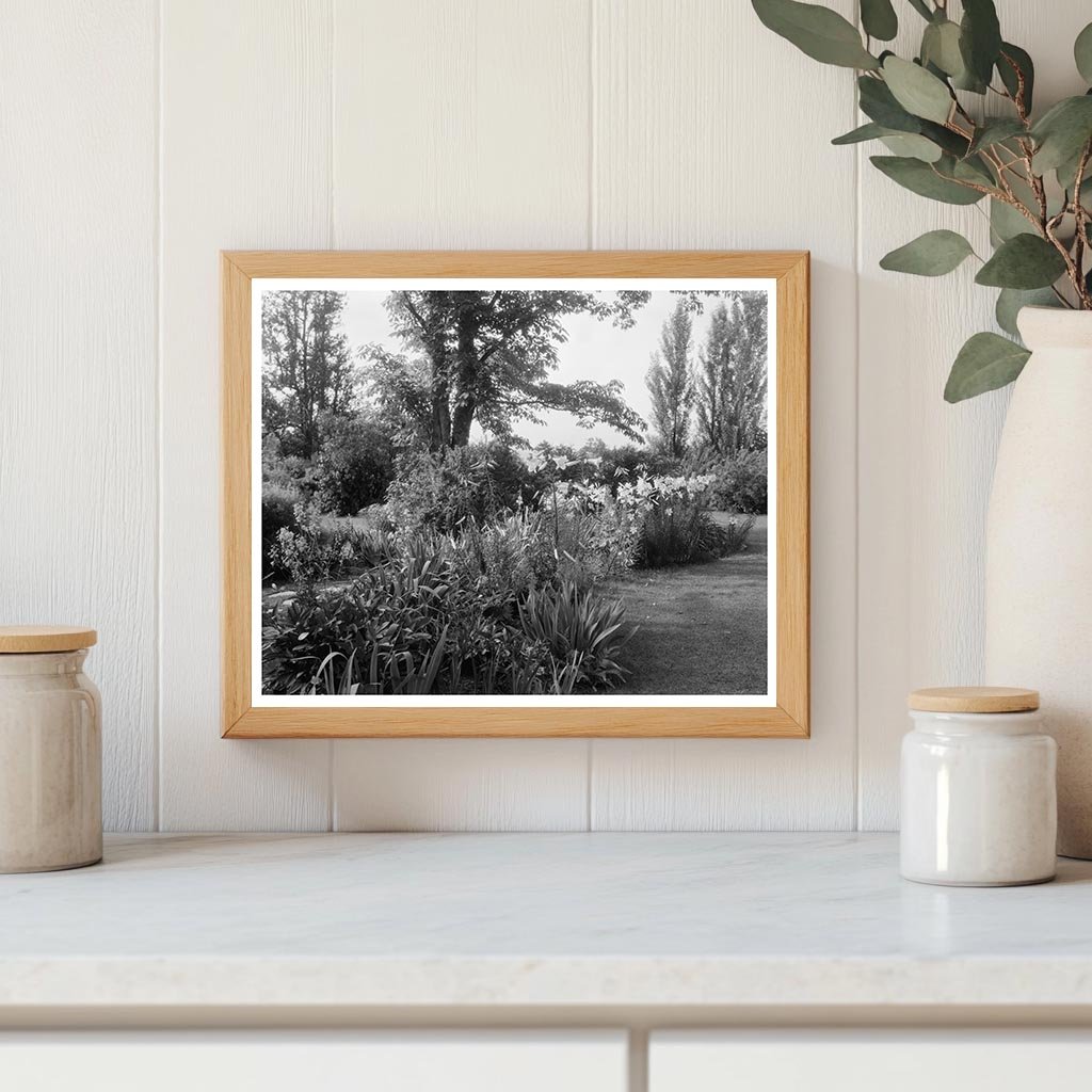 Lynchburg Garden Scene, Virginia, Early 20th Century