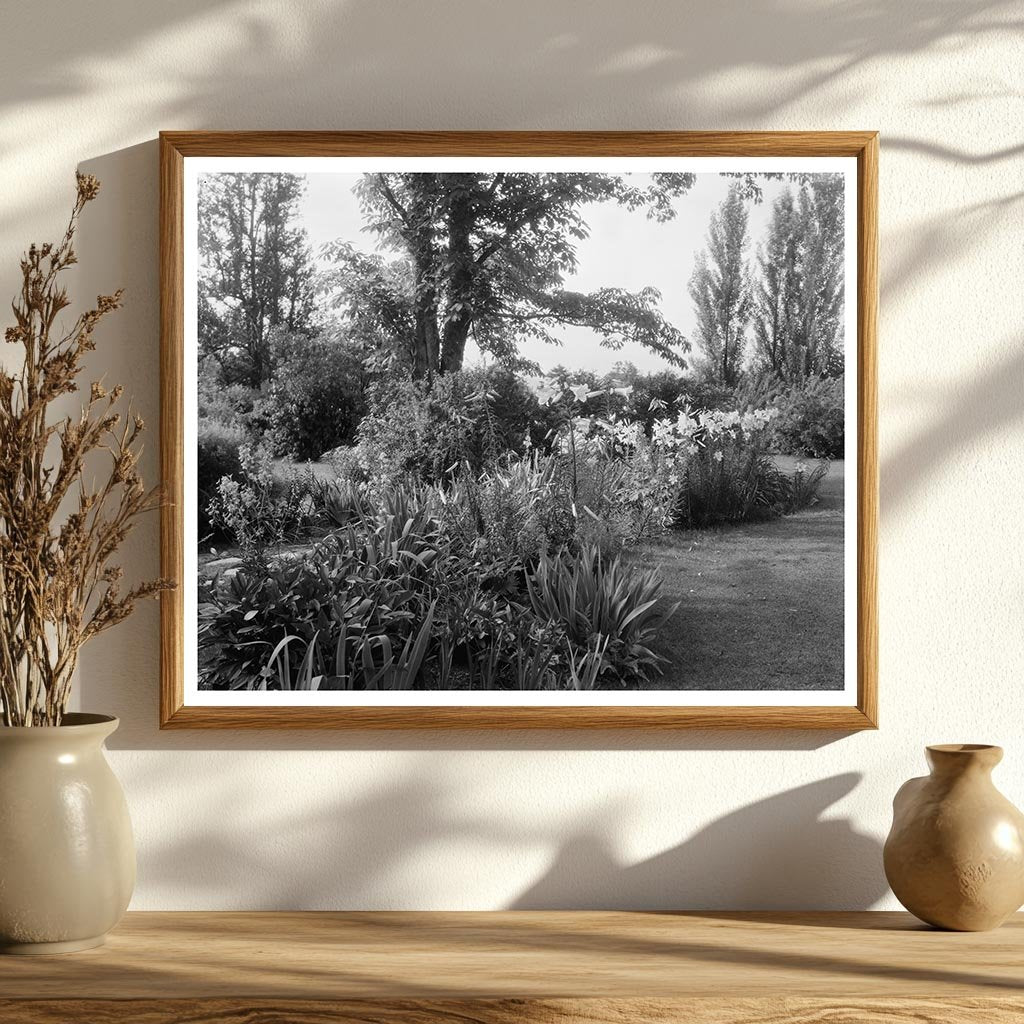 Lynchburg Garden Scene, Virginia, Early 20th Century